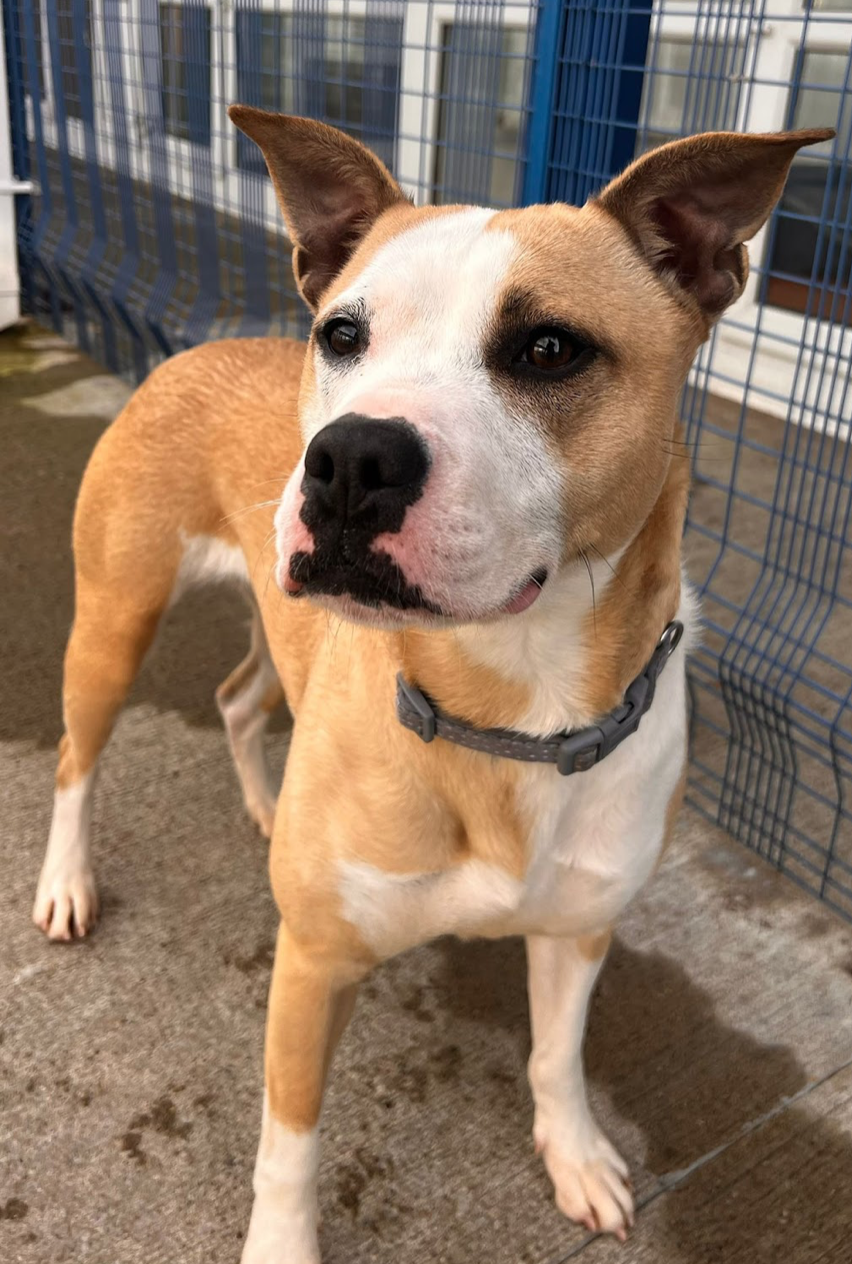 Screenshot 2026-03-31 at 21.01.46.png