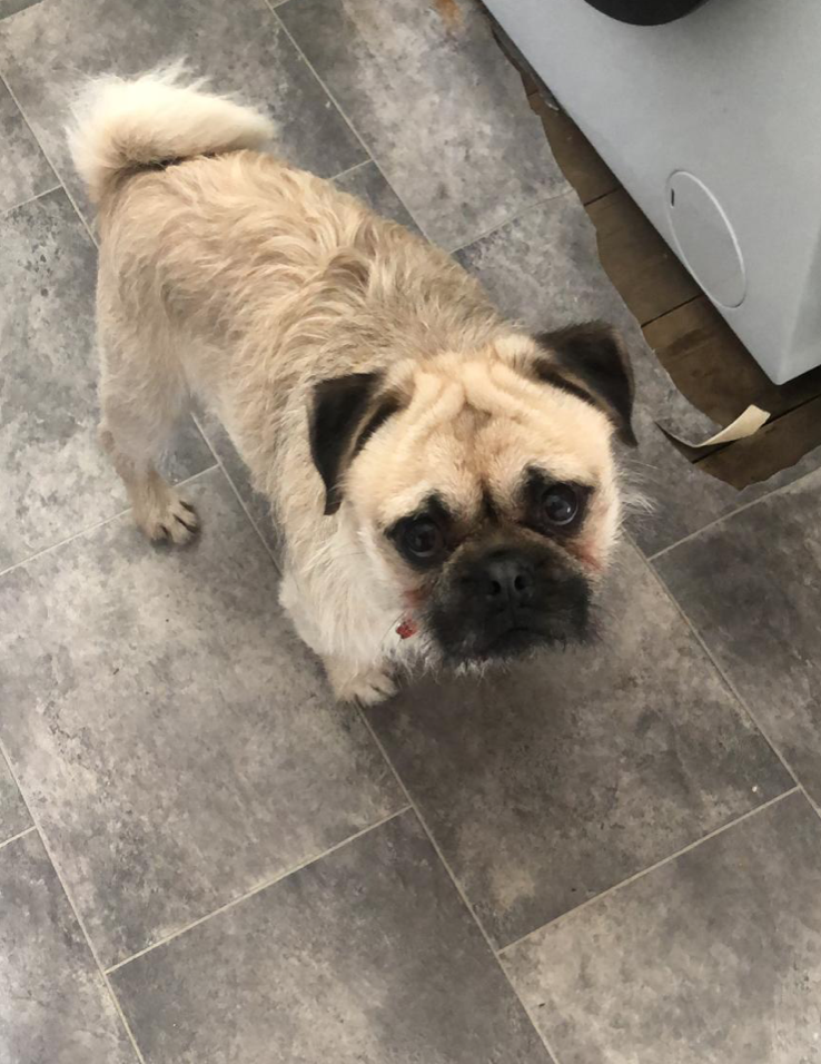 Screenshot 2026-04-26 at 17.23.59.png