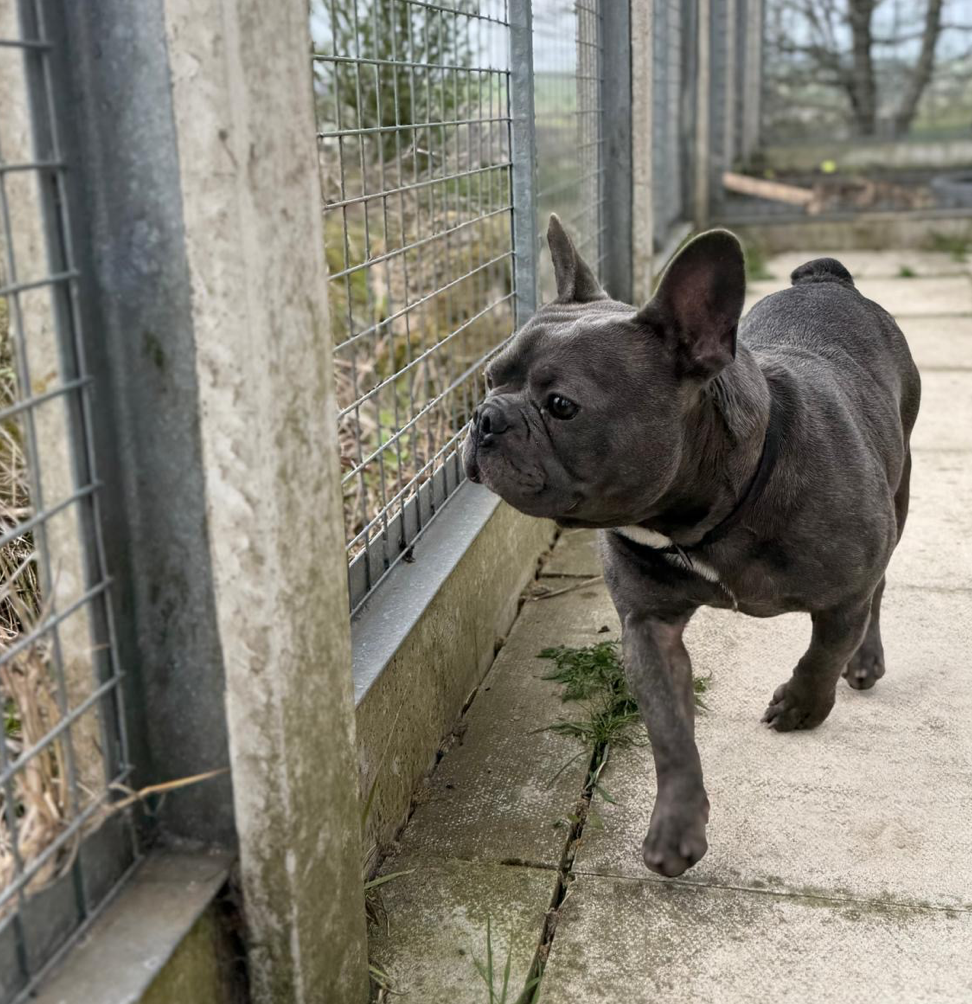 Screenshot 2026-04-26 at 17.24.16.png