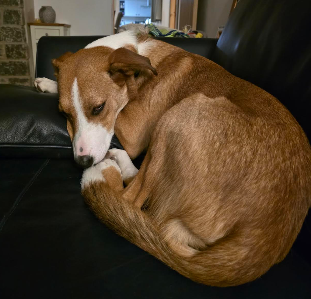 Screenshot 2026-04-26 at 18.32.24.png