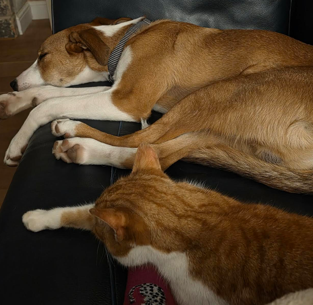 Screenshot 2026-04-26 at 18.32.09.png