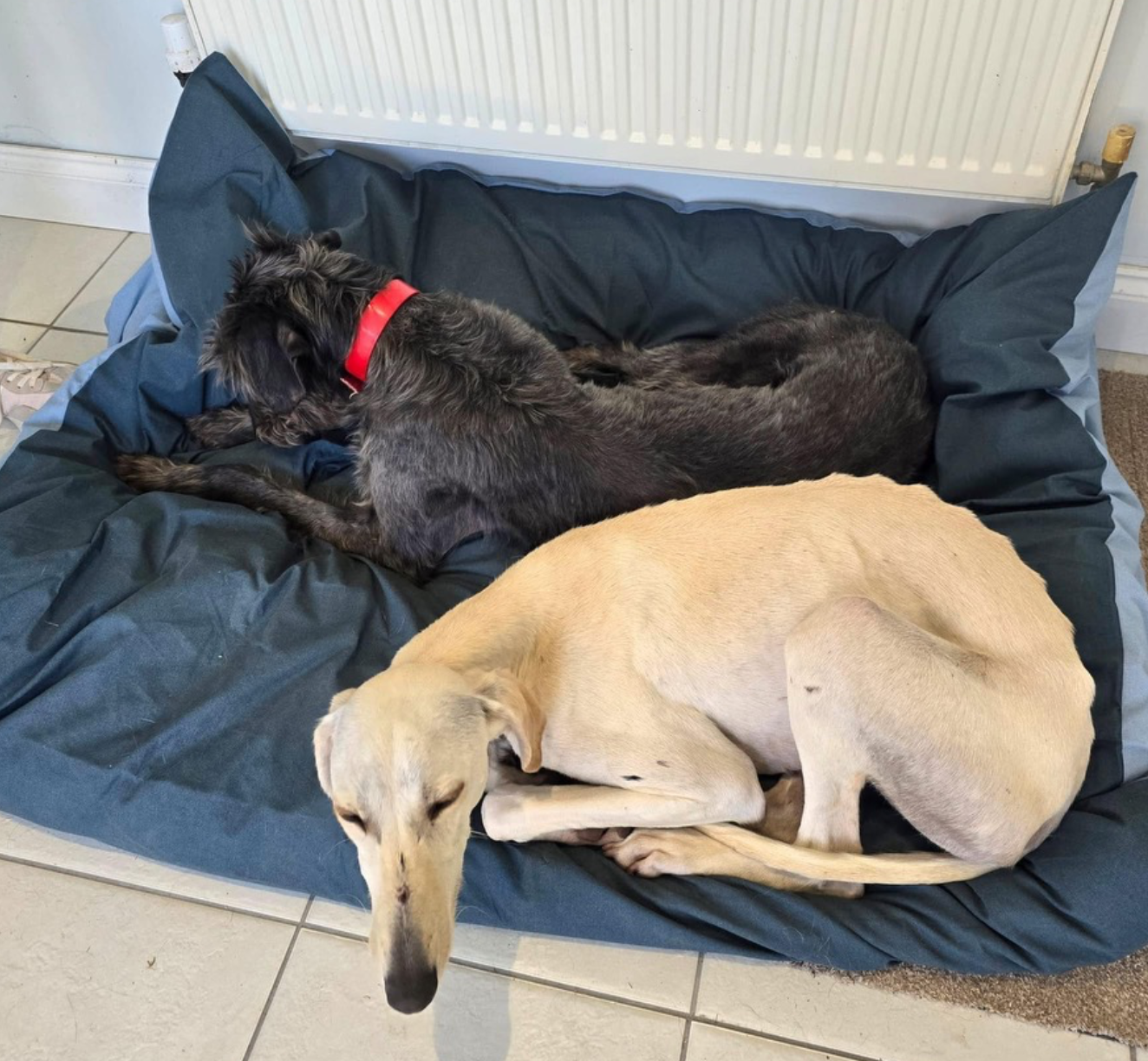 Screenshot 2026-04-26 at 19.31.14.png