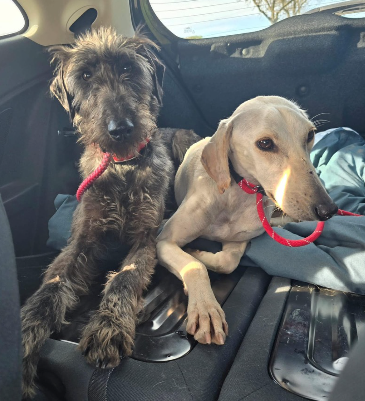 Screenshot 2026-04-26 at 19.31.07.png