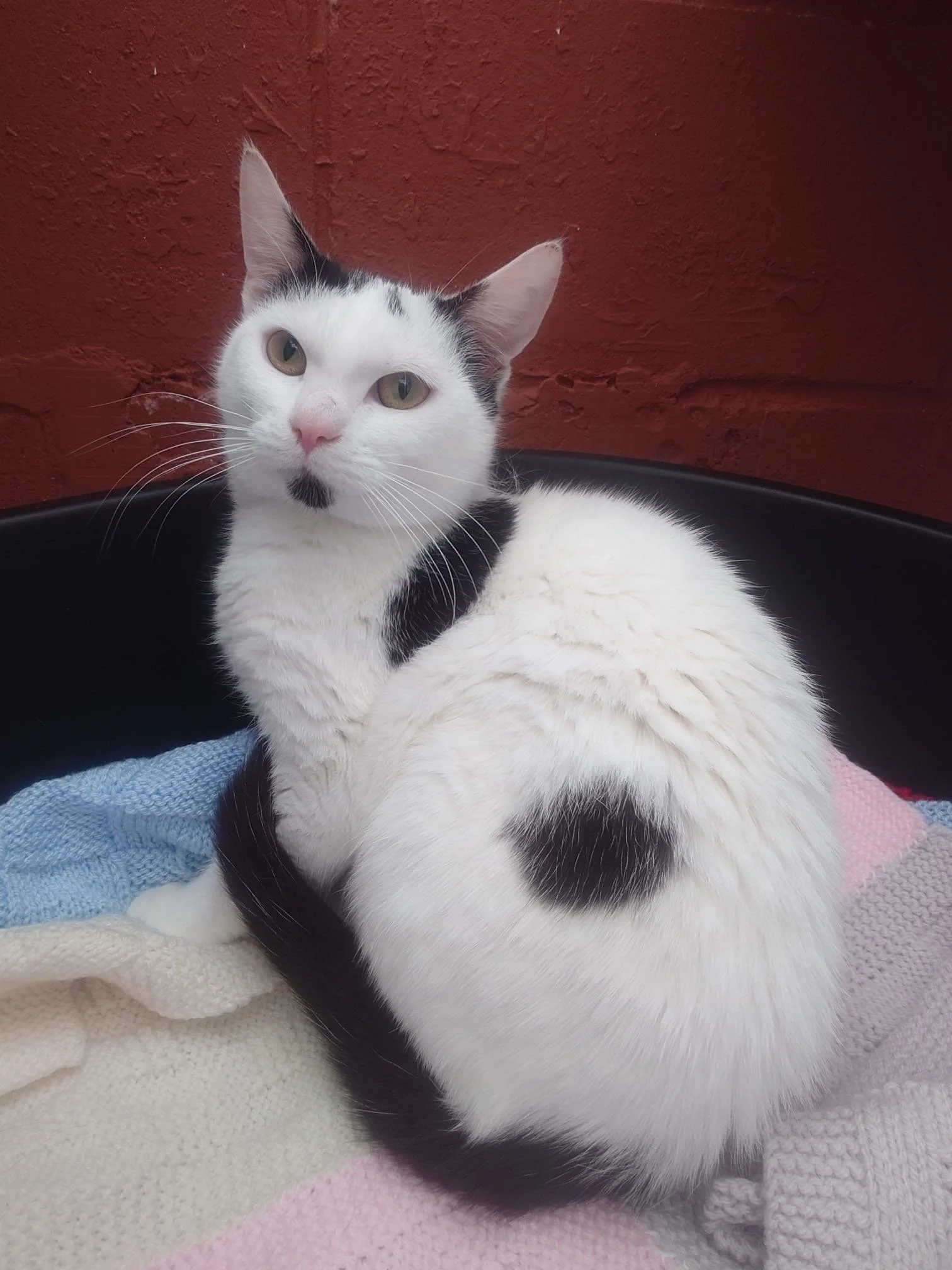 bacaa653-84d8-4607-a6c6-1cd5e07e2469.JPG