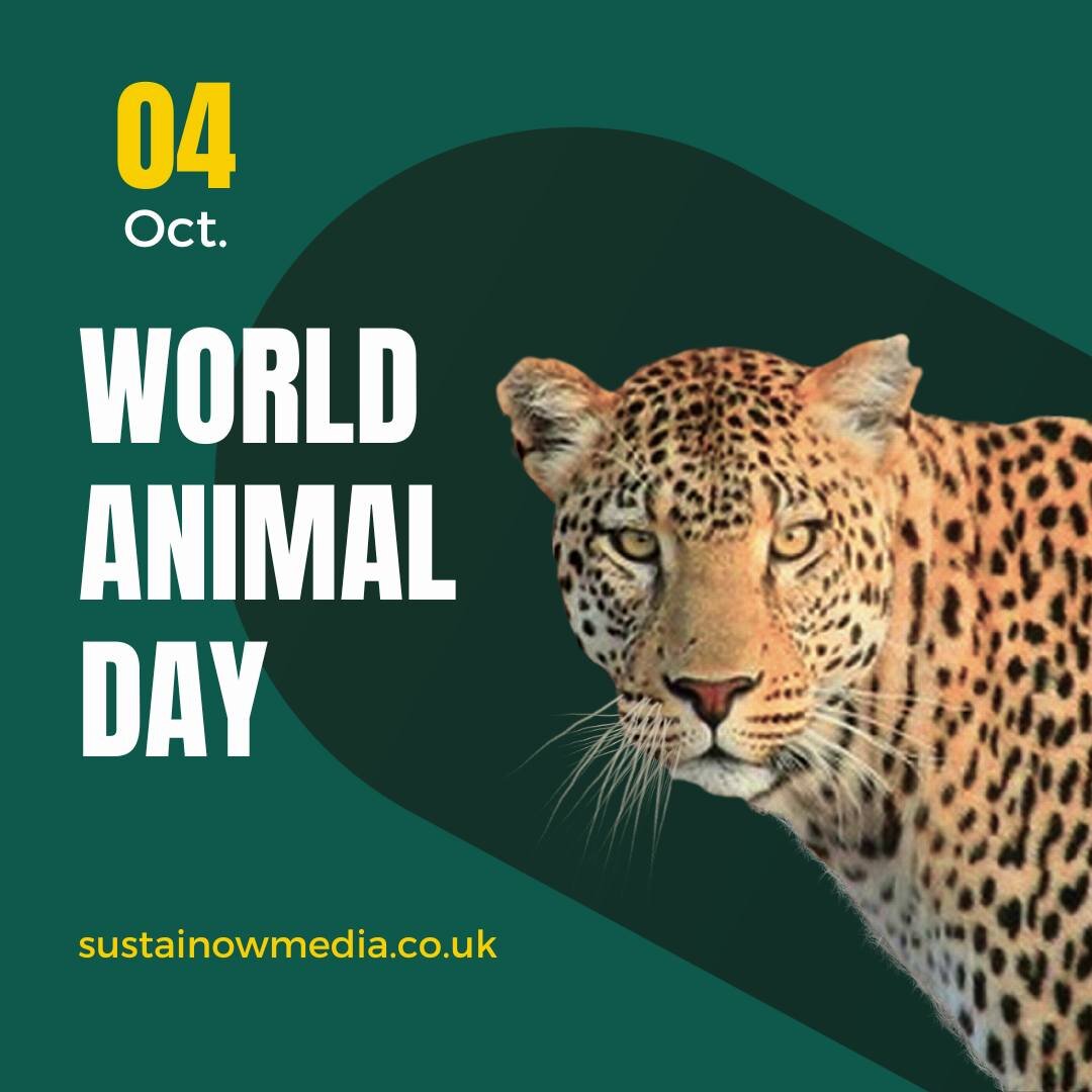 World Animal Day: A Call to Action for Sustainable Development

On the 4th of October each year, the world unites to celebrate World Animal Day, a day dedicated to raising awareness about animal welfare and conservation. This global observance not on