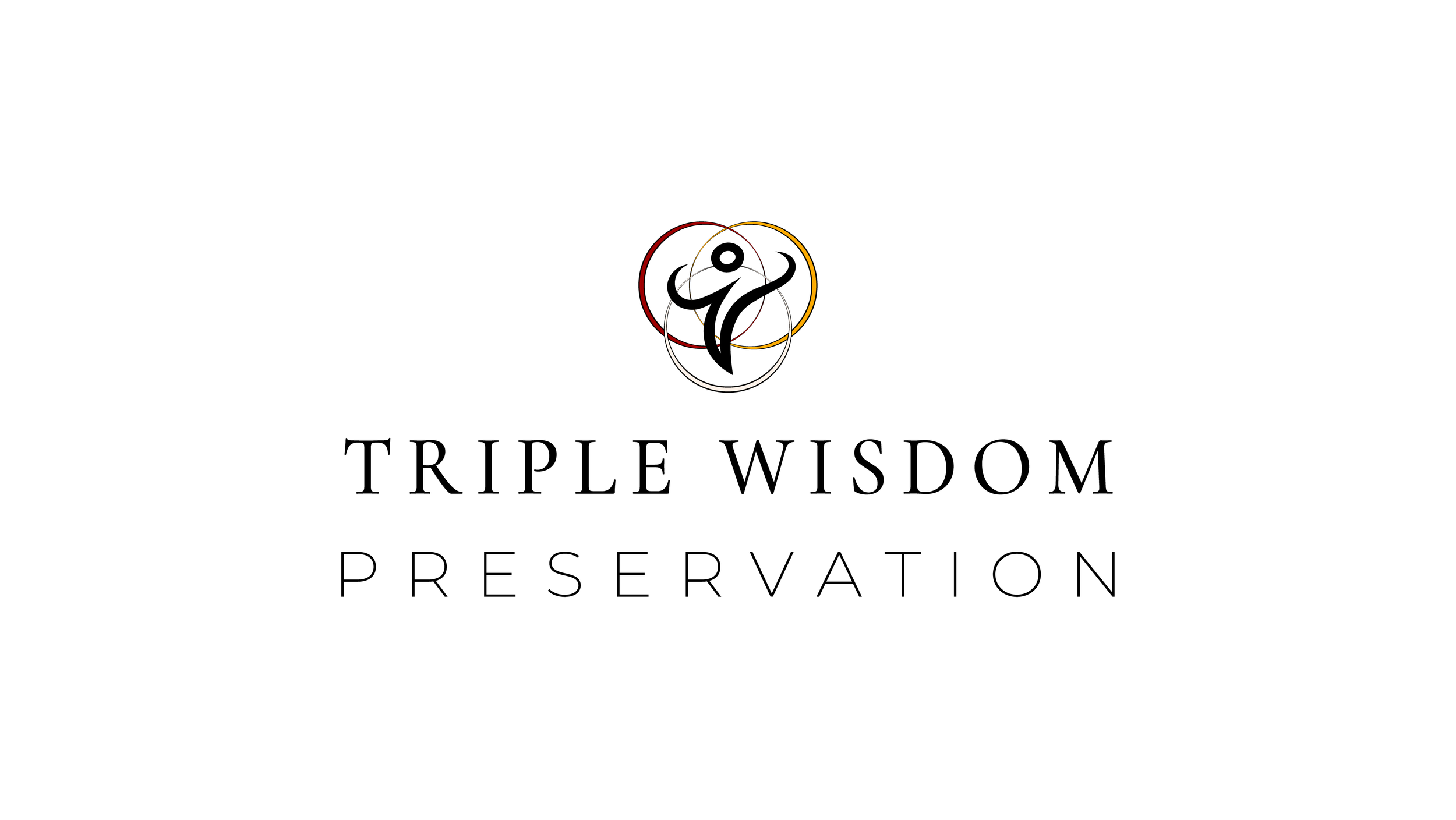 Practitioner Connection: Virtual Meet-up