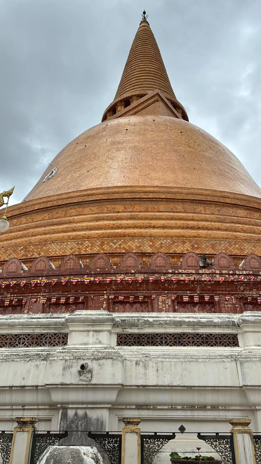 WhatsApp Image 2025-07-22 at 12.44.07 PM.jpeg