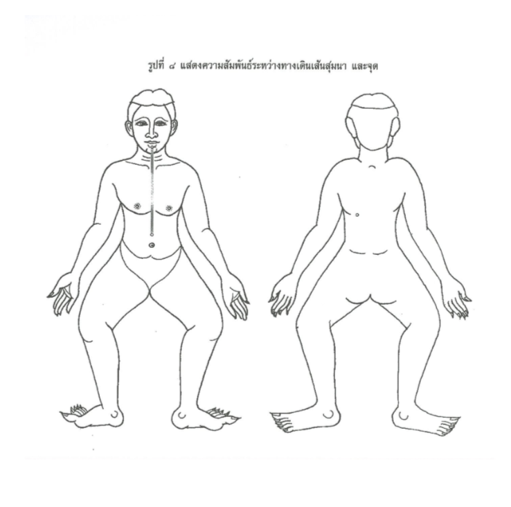 Thai Medicine Diagram