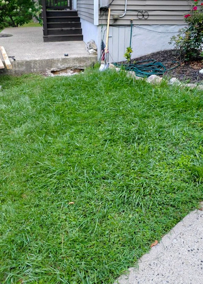 CONCRETE WALKWAY BEFORE