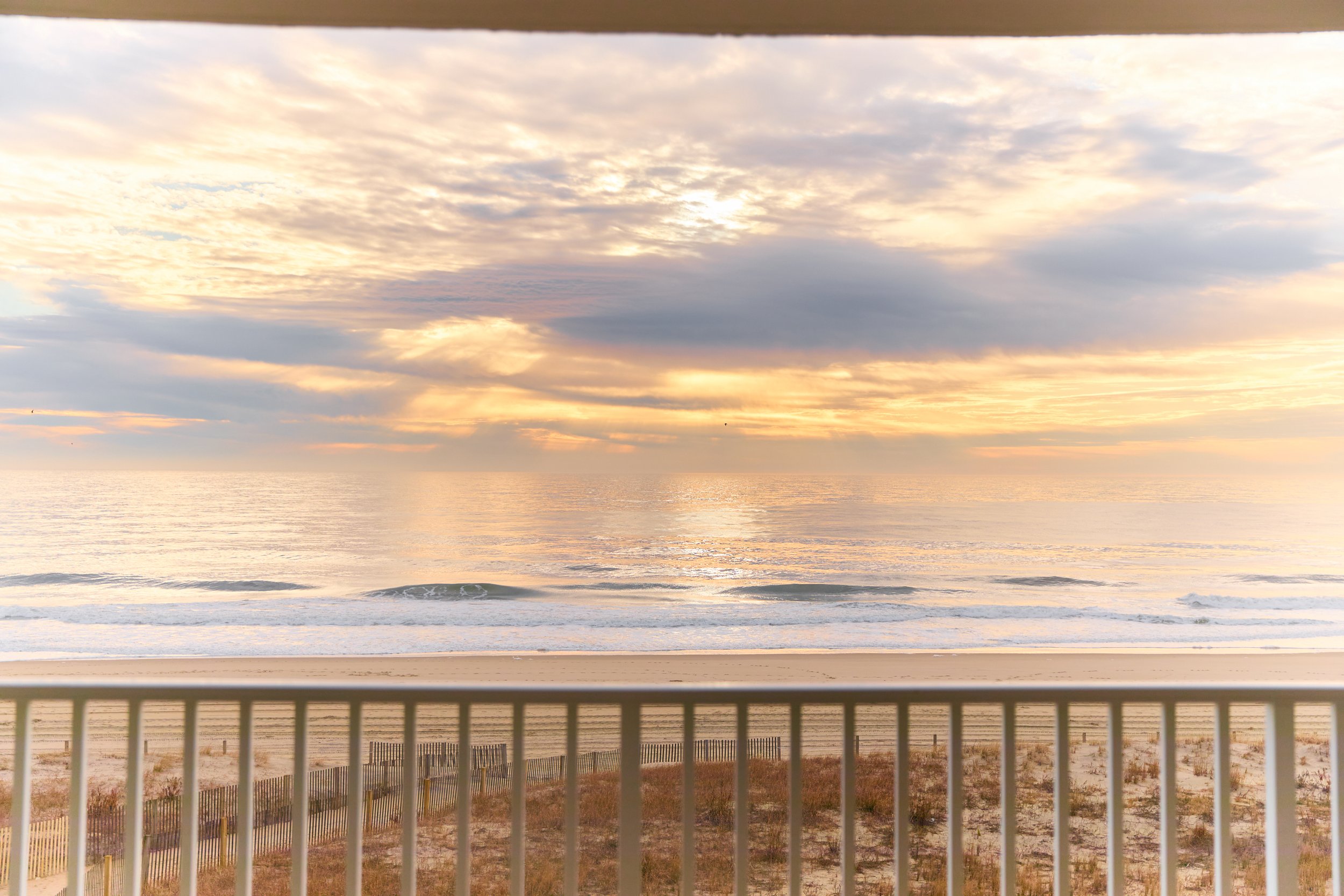 2026 02-21 Murphy-1338.jpg