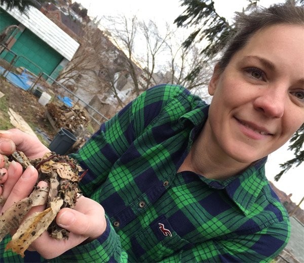 Worm Composting Pilot Program Coming To City Offices