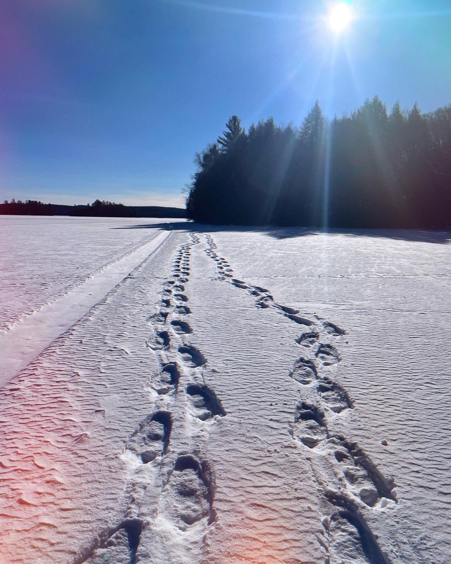 A snowstorm means more opportunities to explore ❄️ bring on the snow!  #wintervibes #snowshoeing #explore #getaway #snowday