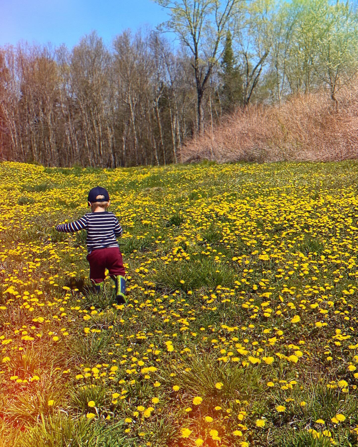 🌸✨ Long Spring Weekend Vibes ✨🌸 🌼 The long spring weekend is finally here, and it&rsquo;s time to embrace the vibrant blooms, warmer breezes, and the joyful spirit of renewal. Whether you&rsquo;re planning to soak up the sun in your garden, embark