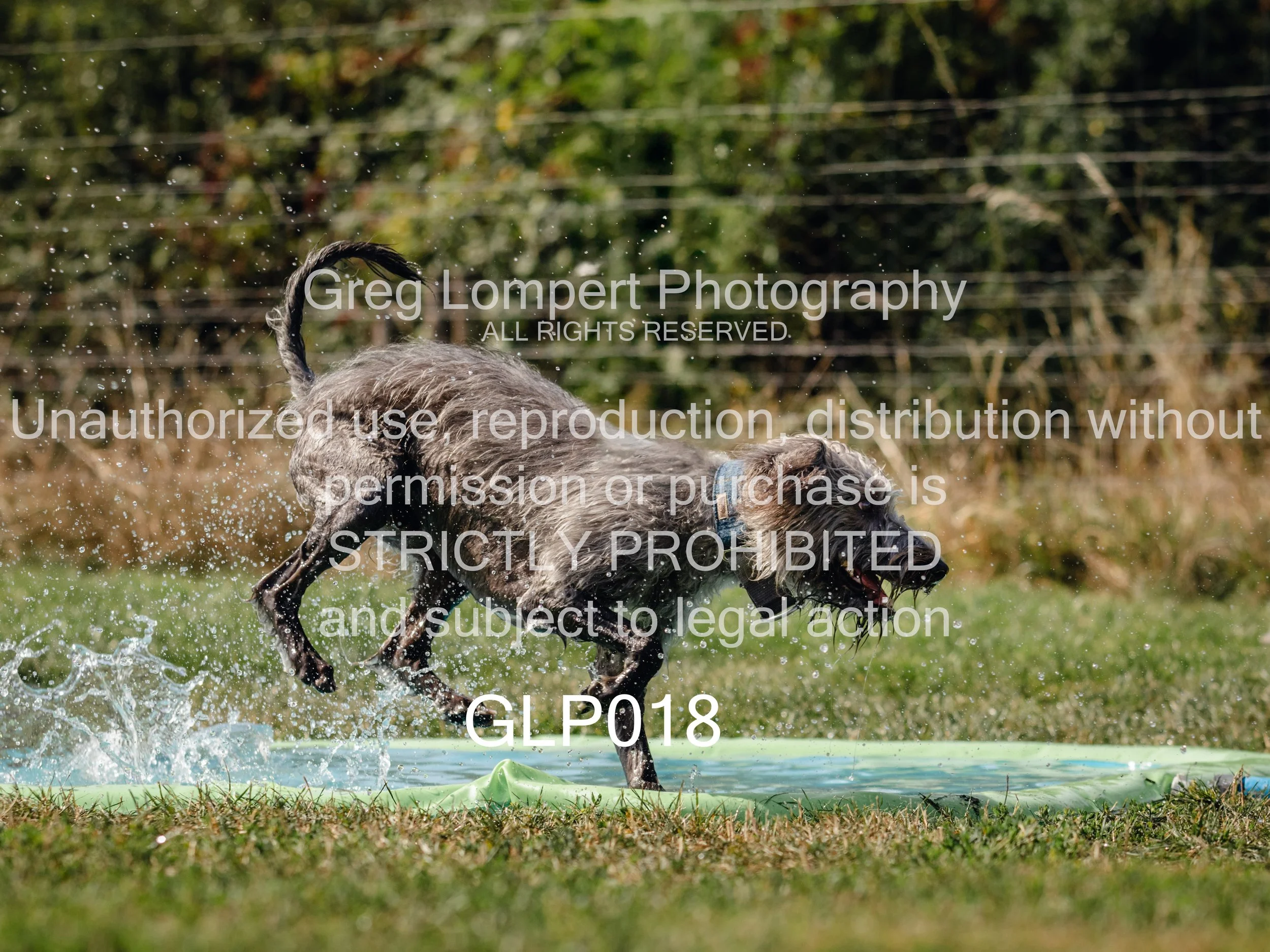 4G8A3822-Edit-Edit.jpg