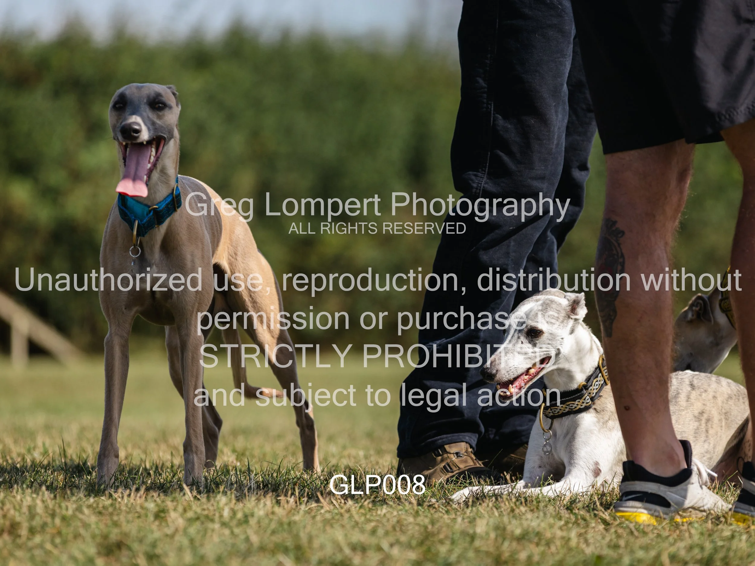 4G8A3662-Edit-Edit.jpg