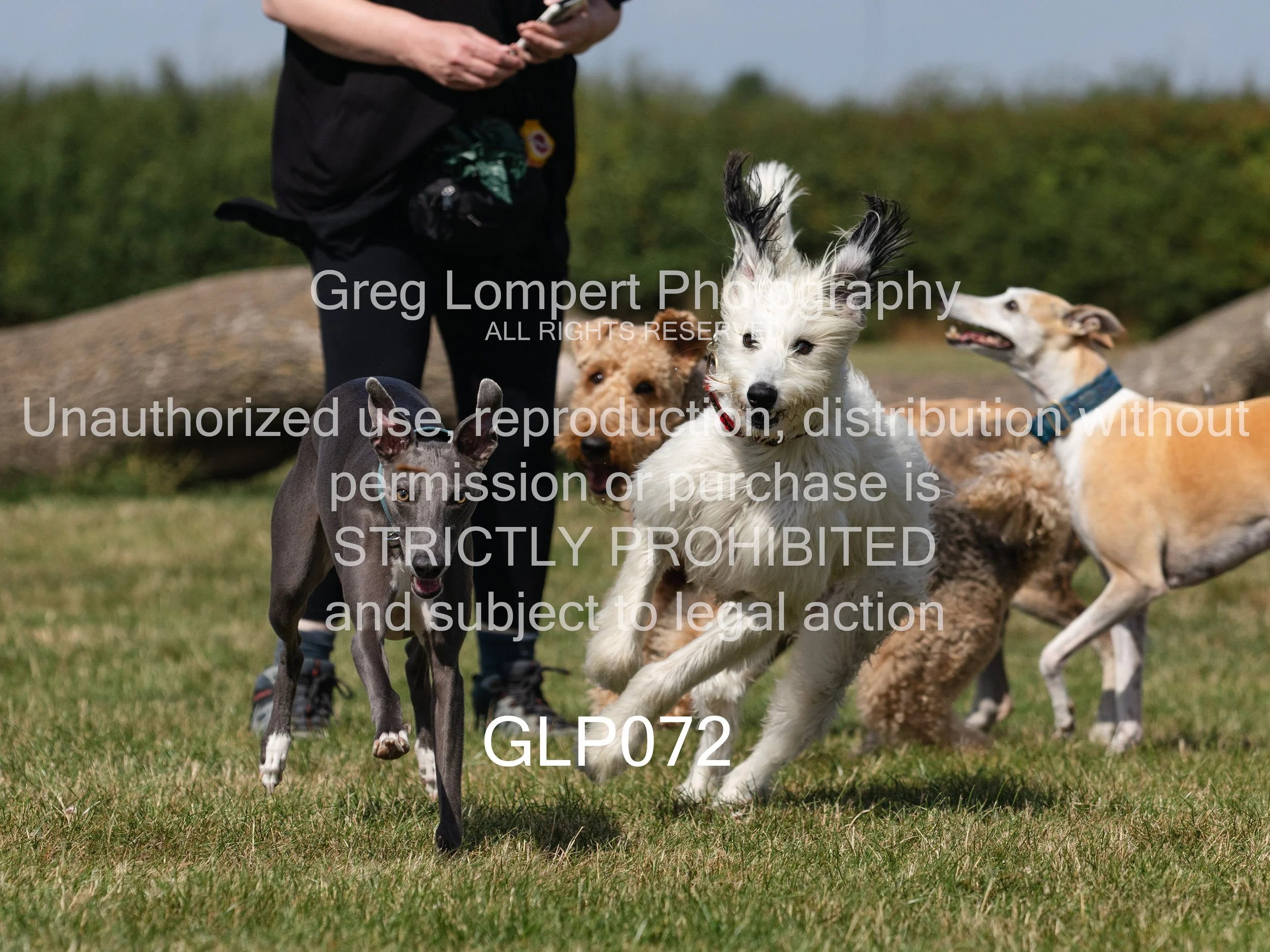 4G8A4491-Edit-Edit.jpg