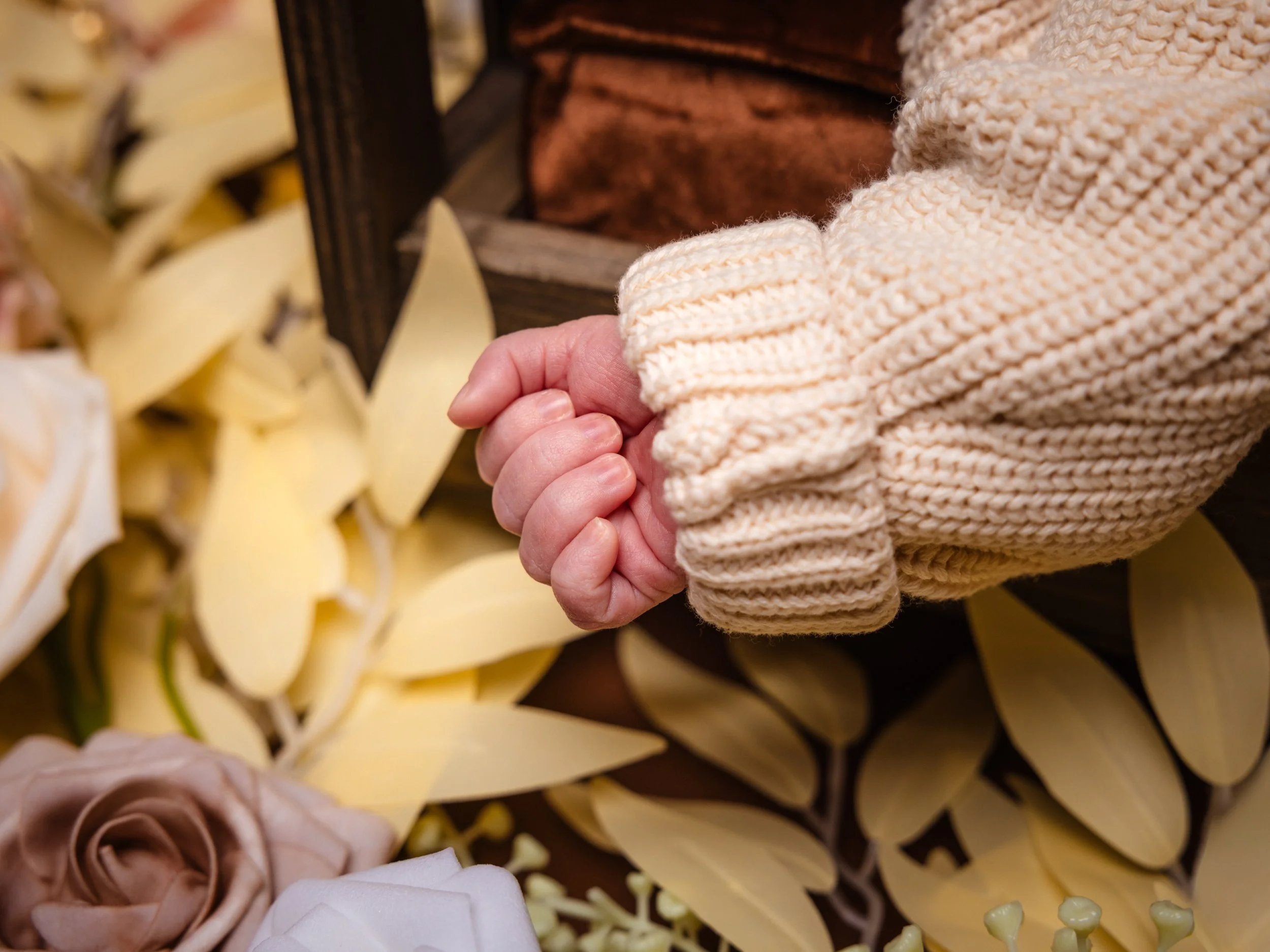 Romeo Ella & Sean 04-3141.jpg