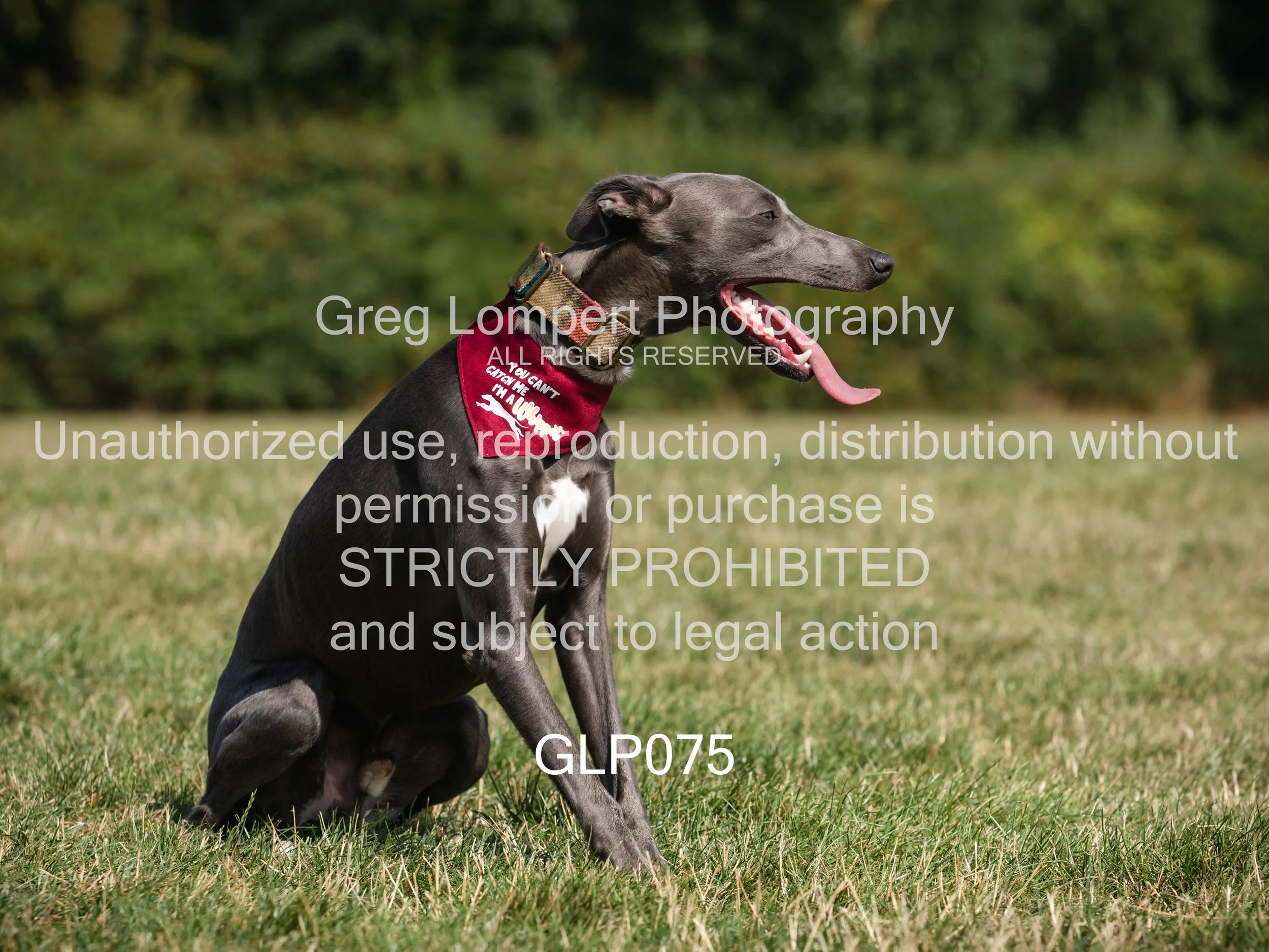 4G8A4536-Edit-Edit.jpg