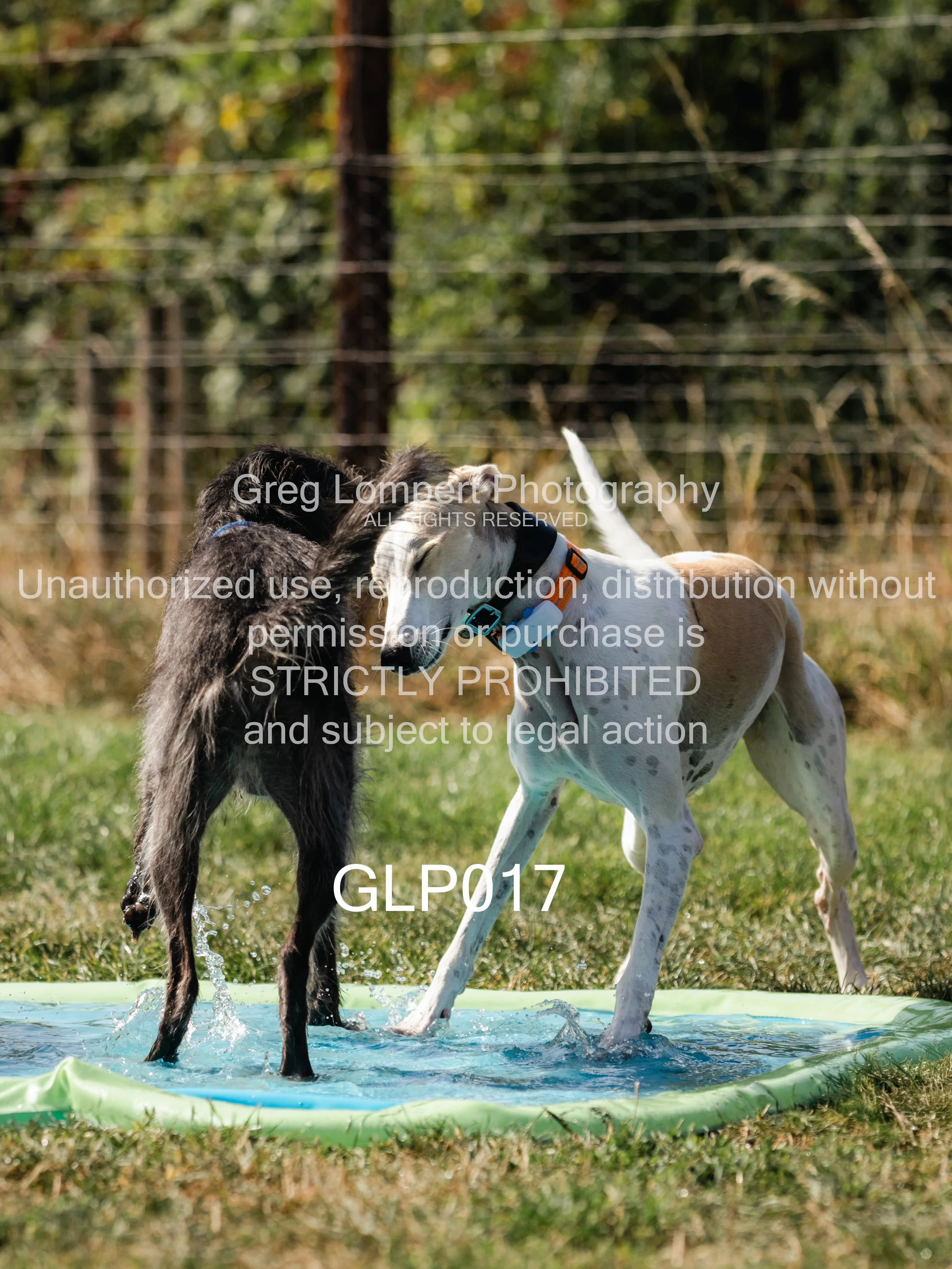 4G8A3813-Edit-Edit.jpg