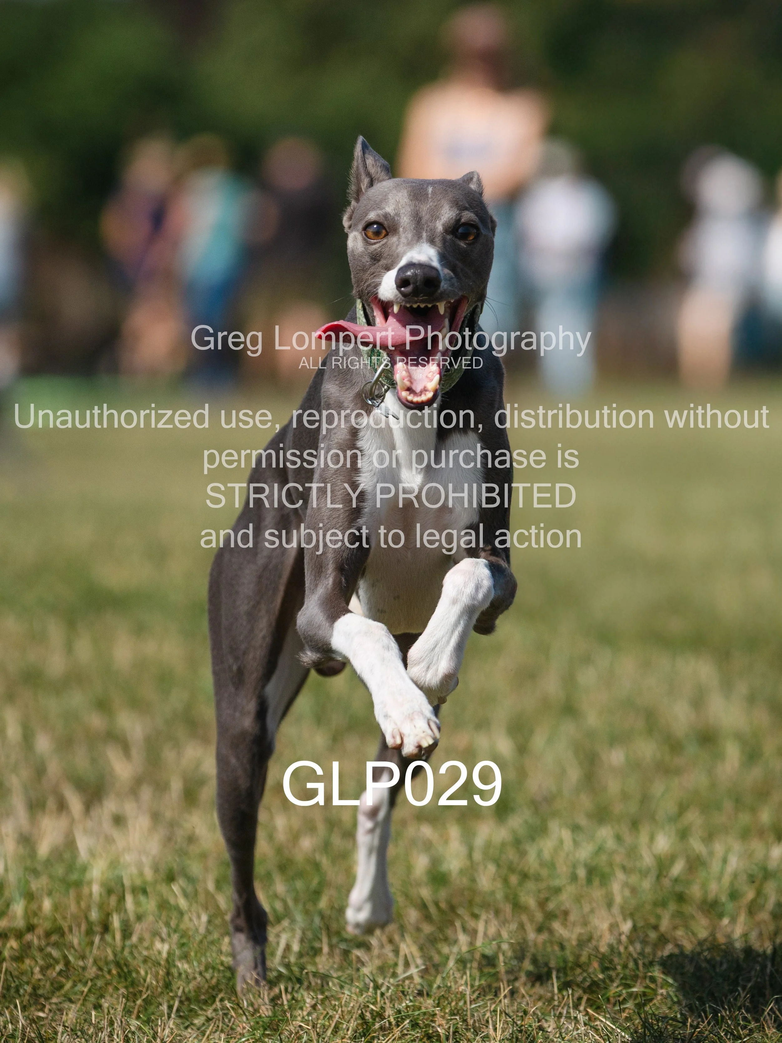 4G8A3921-Edit-Edit.jpg