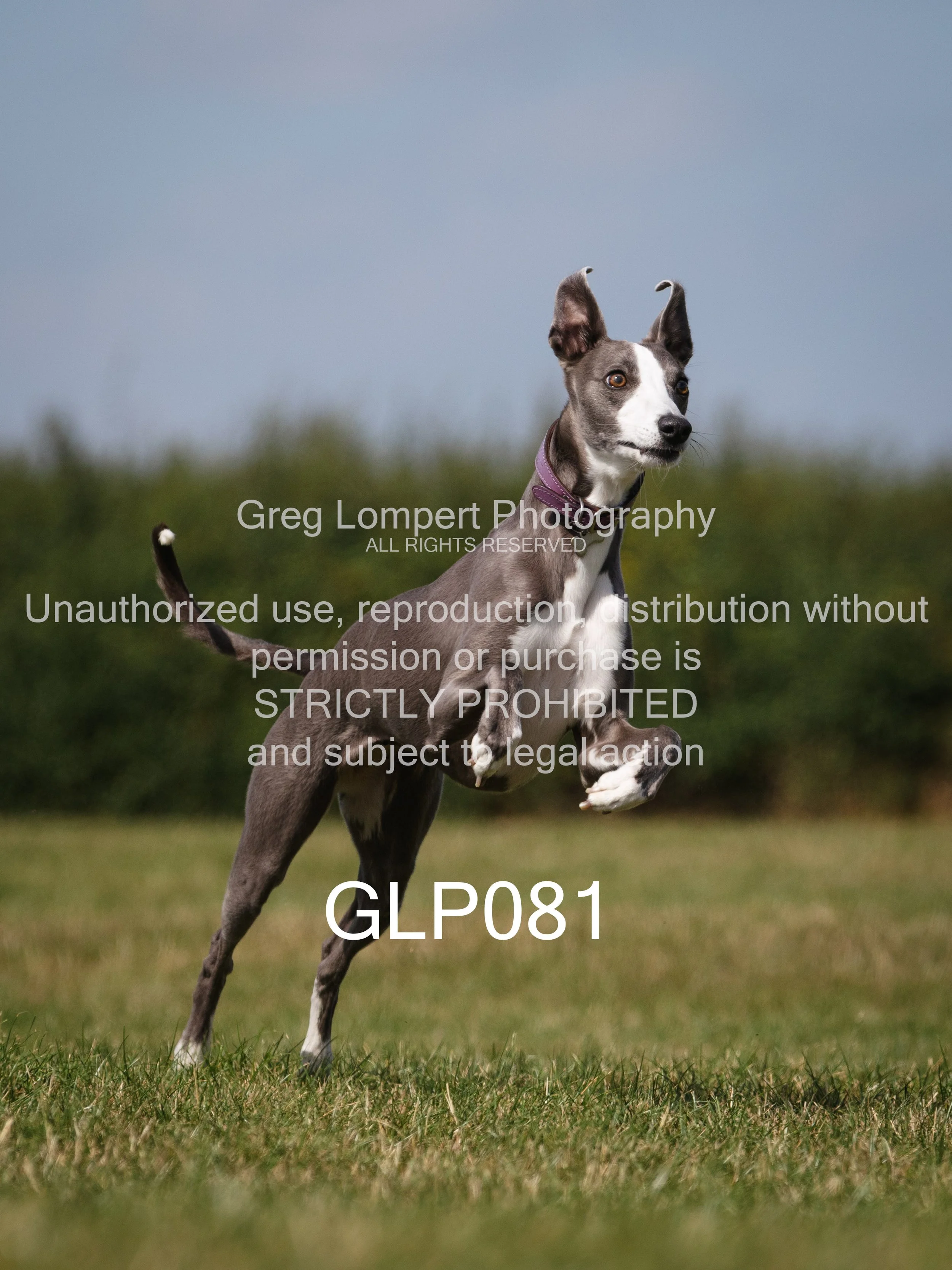 4G8A4768-Edit-Edit.jpg