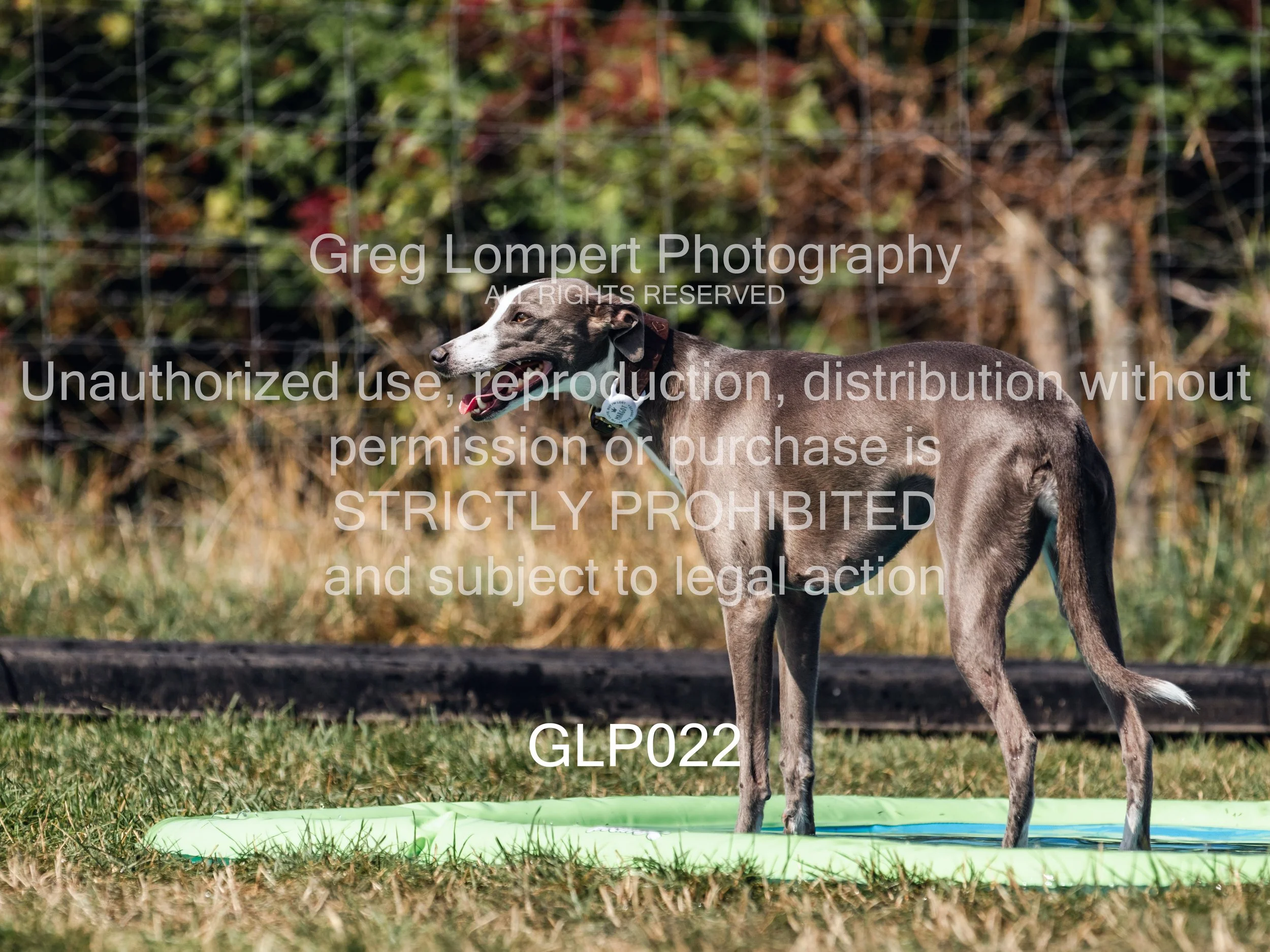 4G8A3868-Edit-Edit.jpg