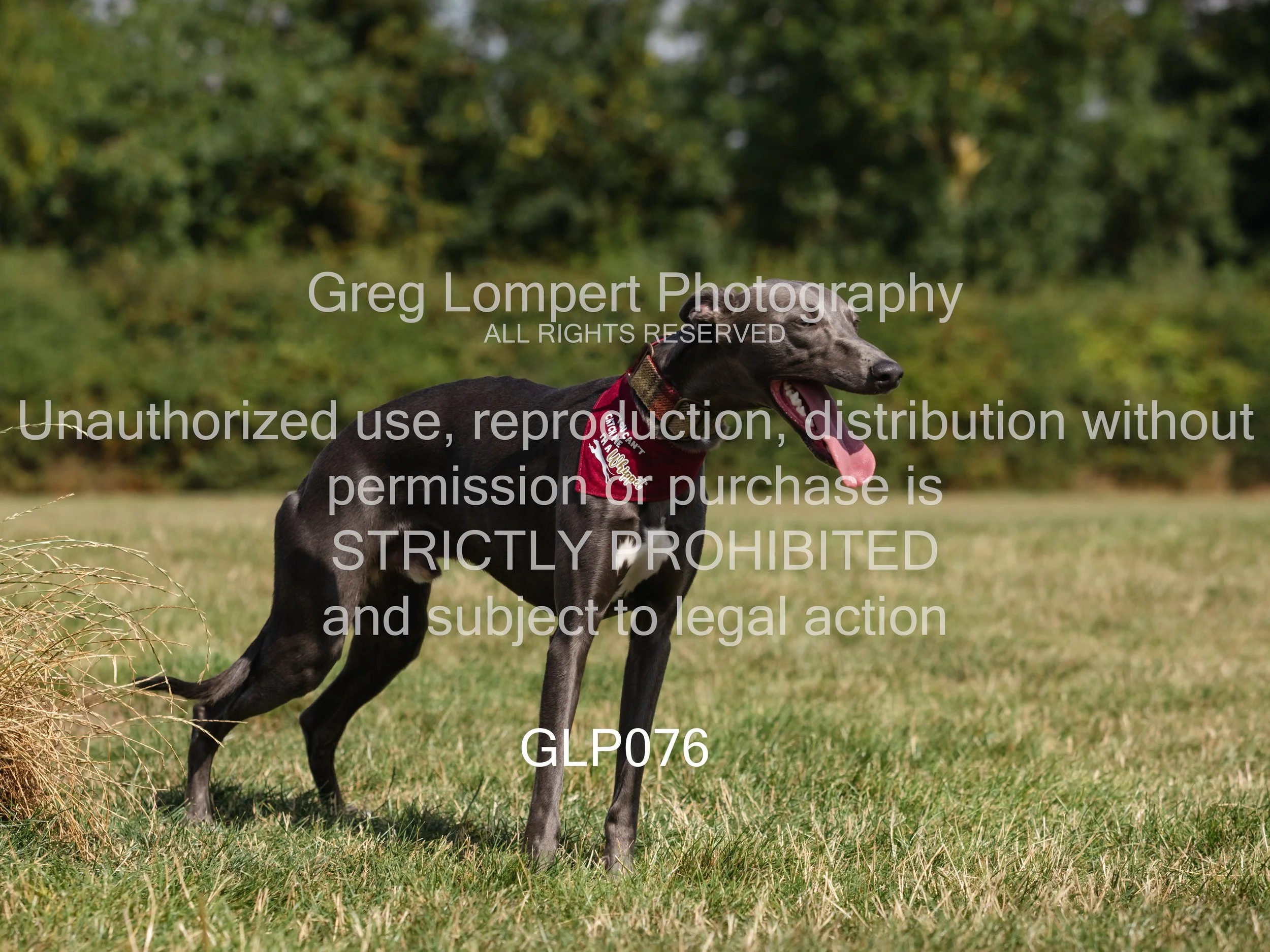 4G8A4560-Edit-Edit.jpg