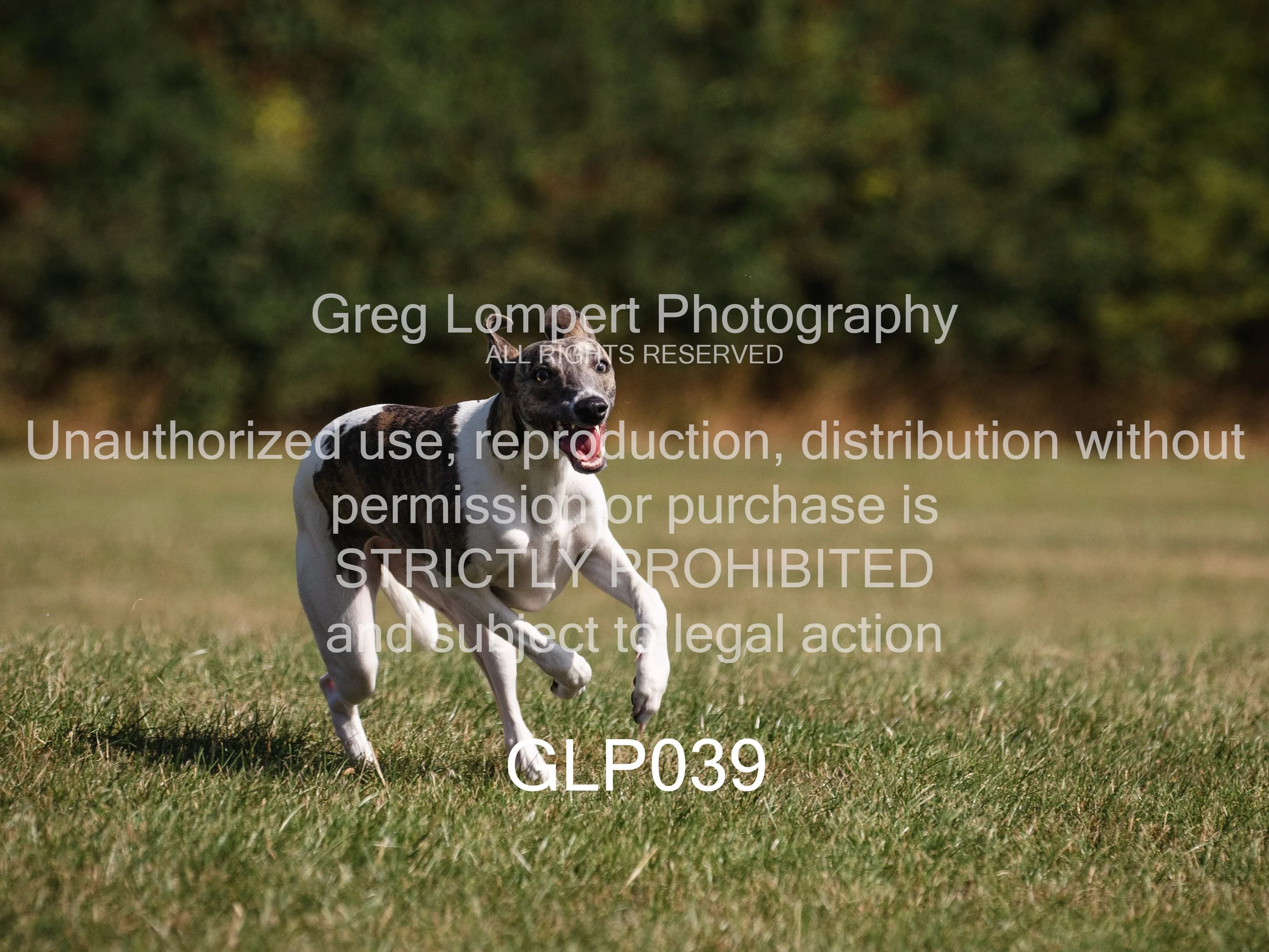 4G8A4103-Edit-Edit.jpg