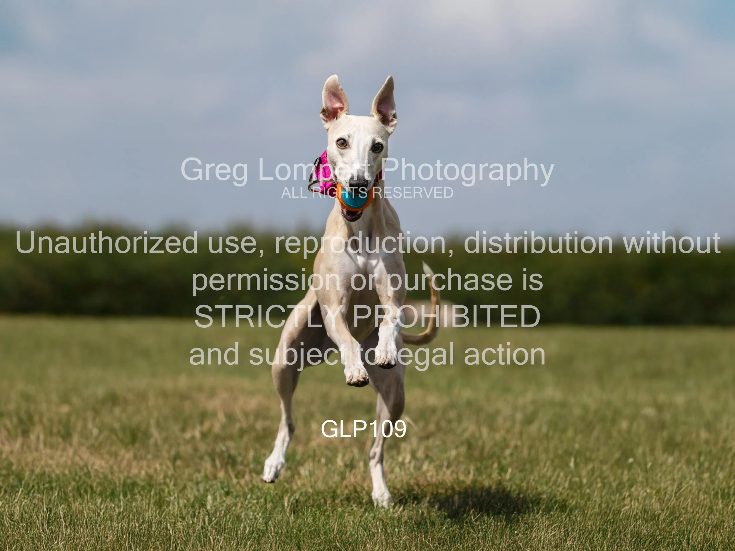 4G8A5263-Edit-Edit-2-Edit.jpg