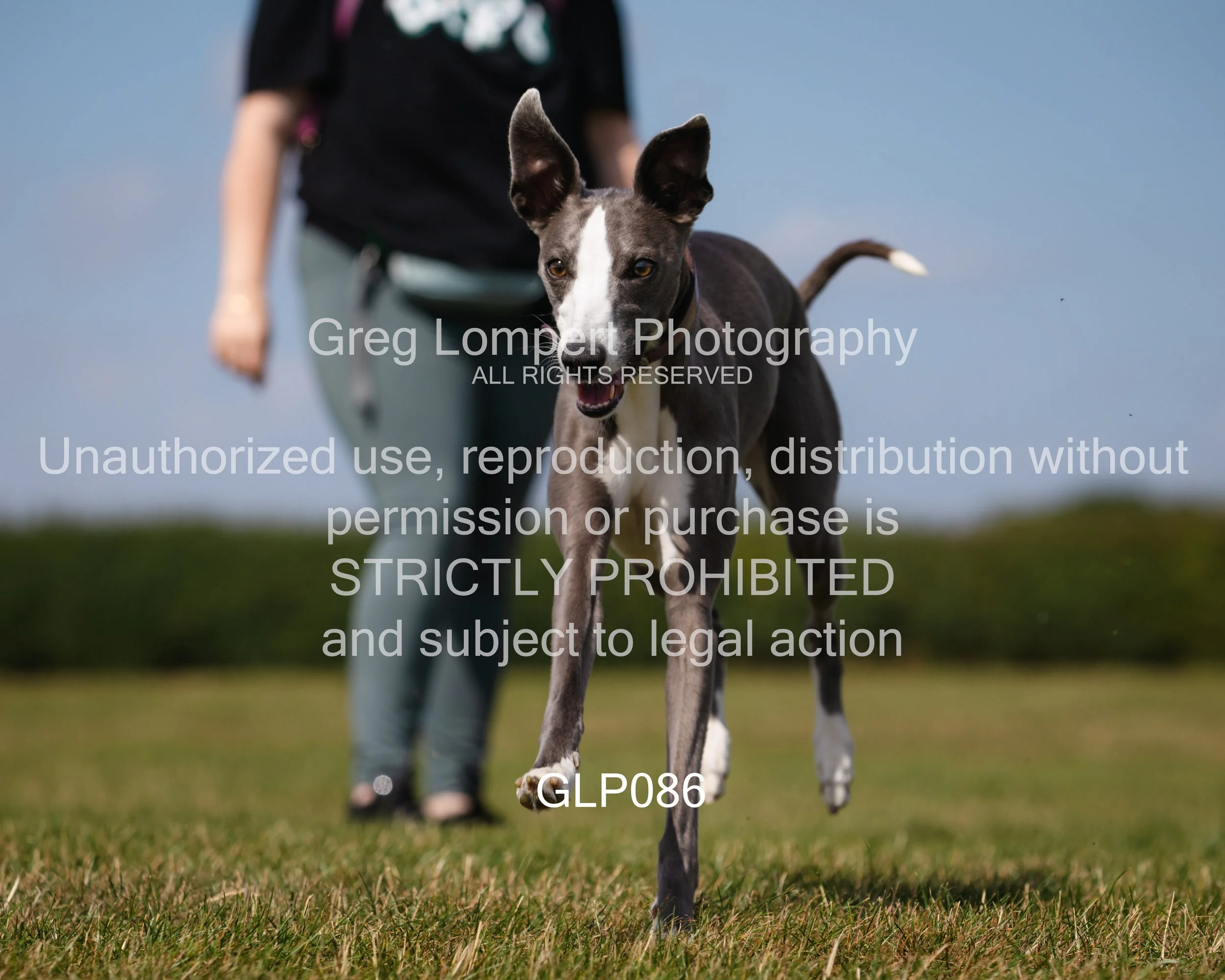 4G8A4805-Edit-Edit.jpg