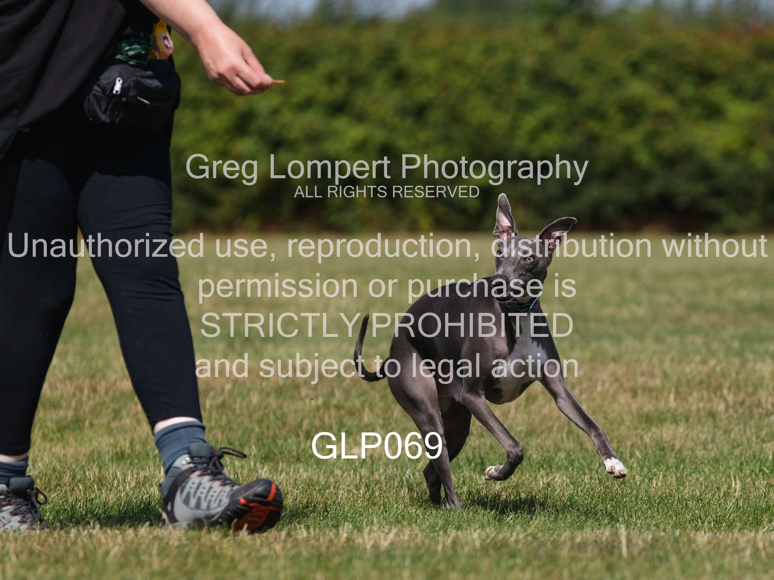 4G8A4467-Edit-Edit.jpg