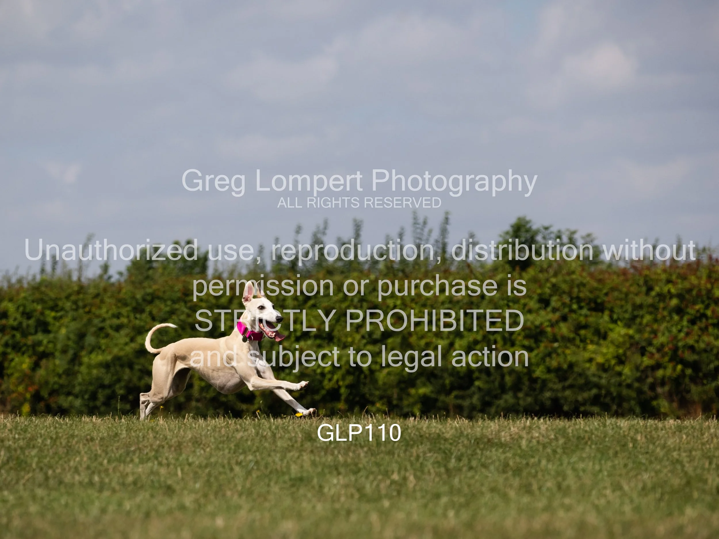 4G8A5269-Edit-Edit.jpg