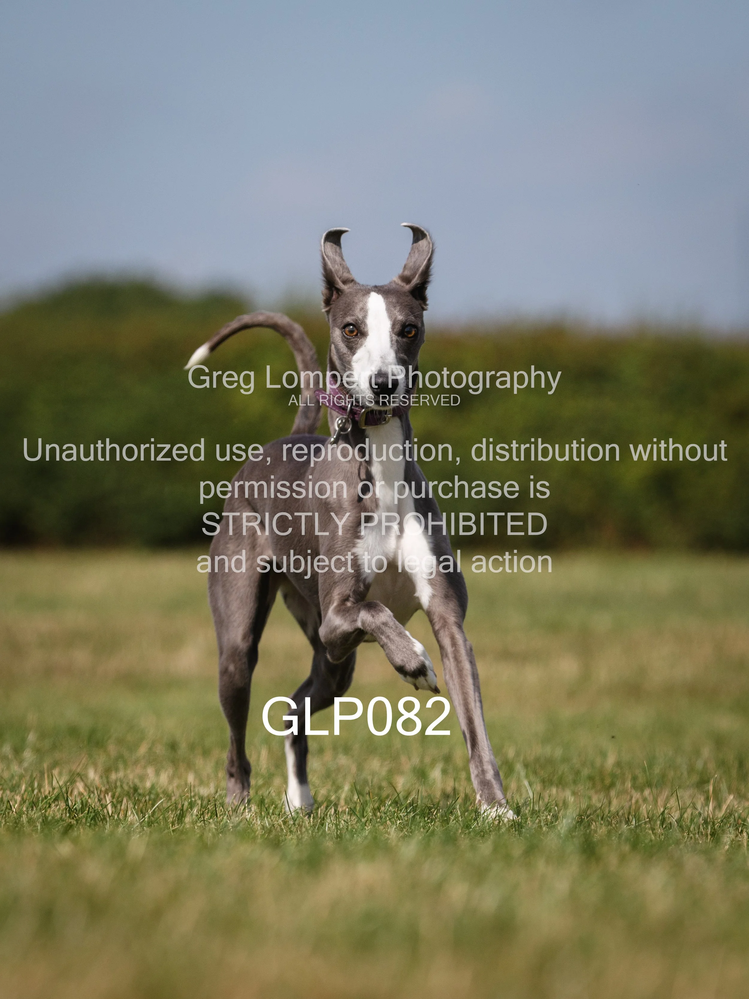 4G8A4774-Edit-Edit.jpg