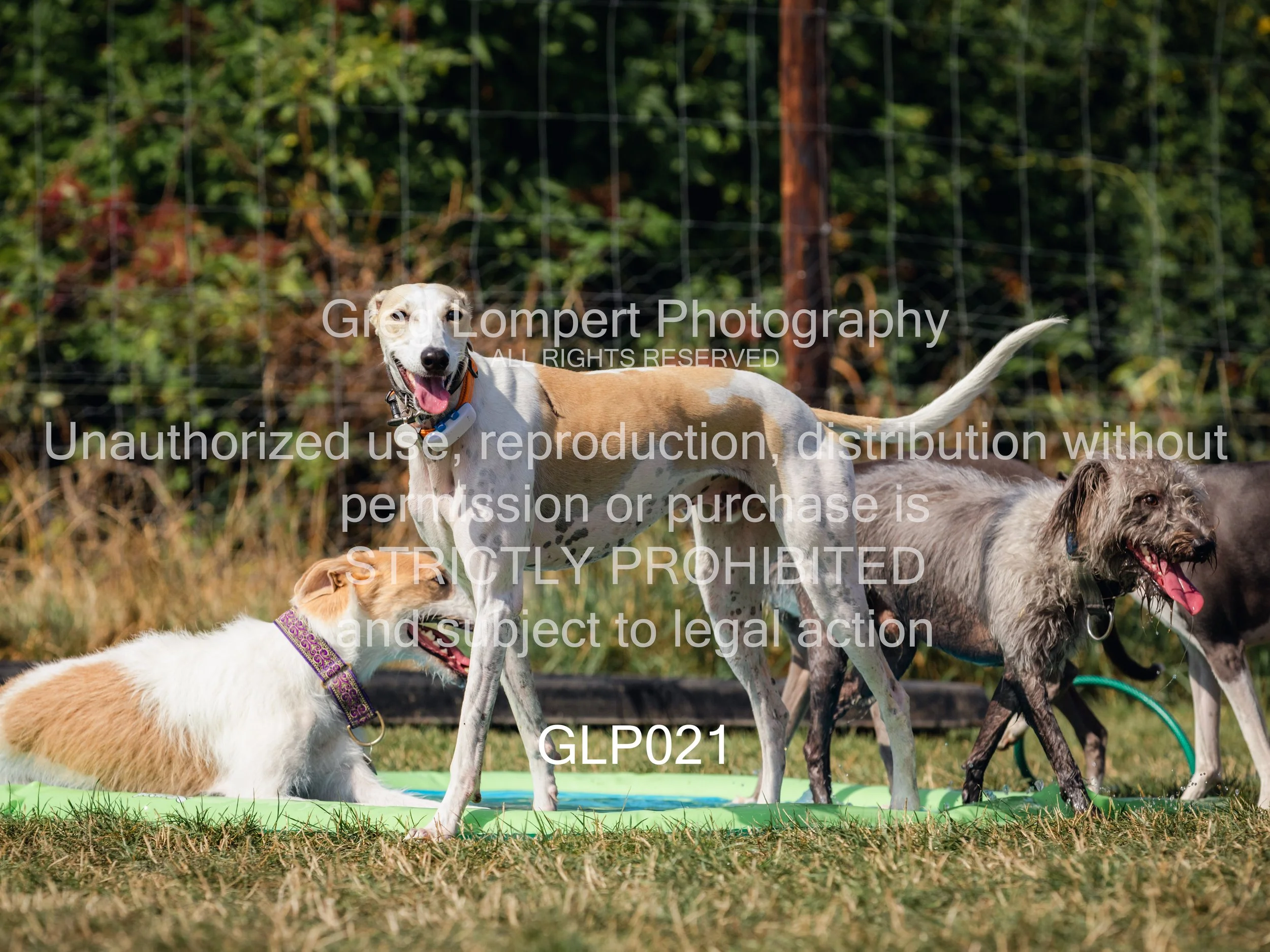 4G8A3864-Edit-Edit.jpg