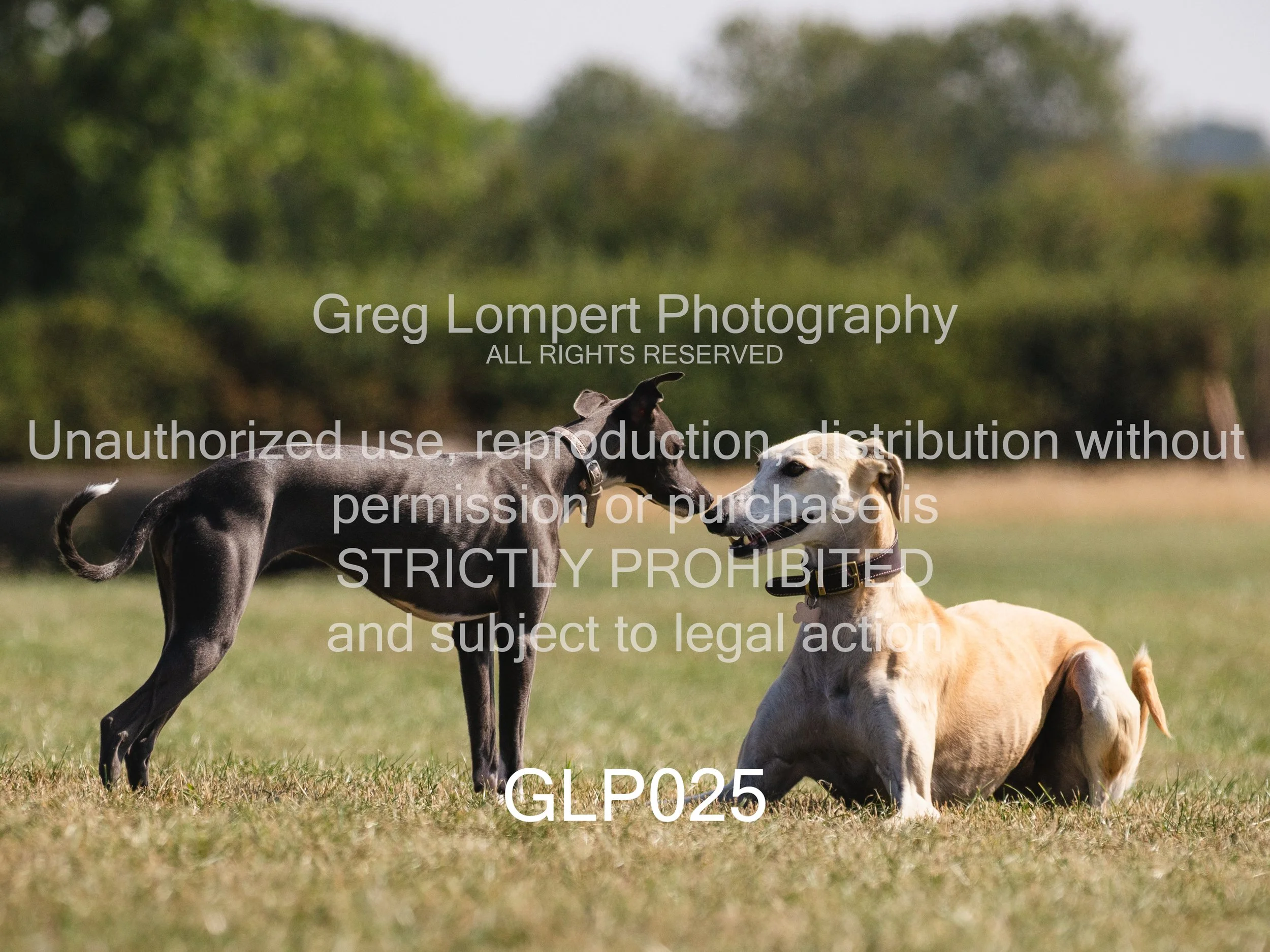 4G8A3891-Edit-Edit.jpg