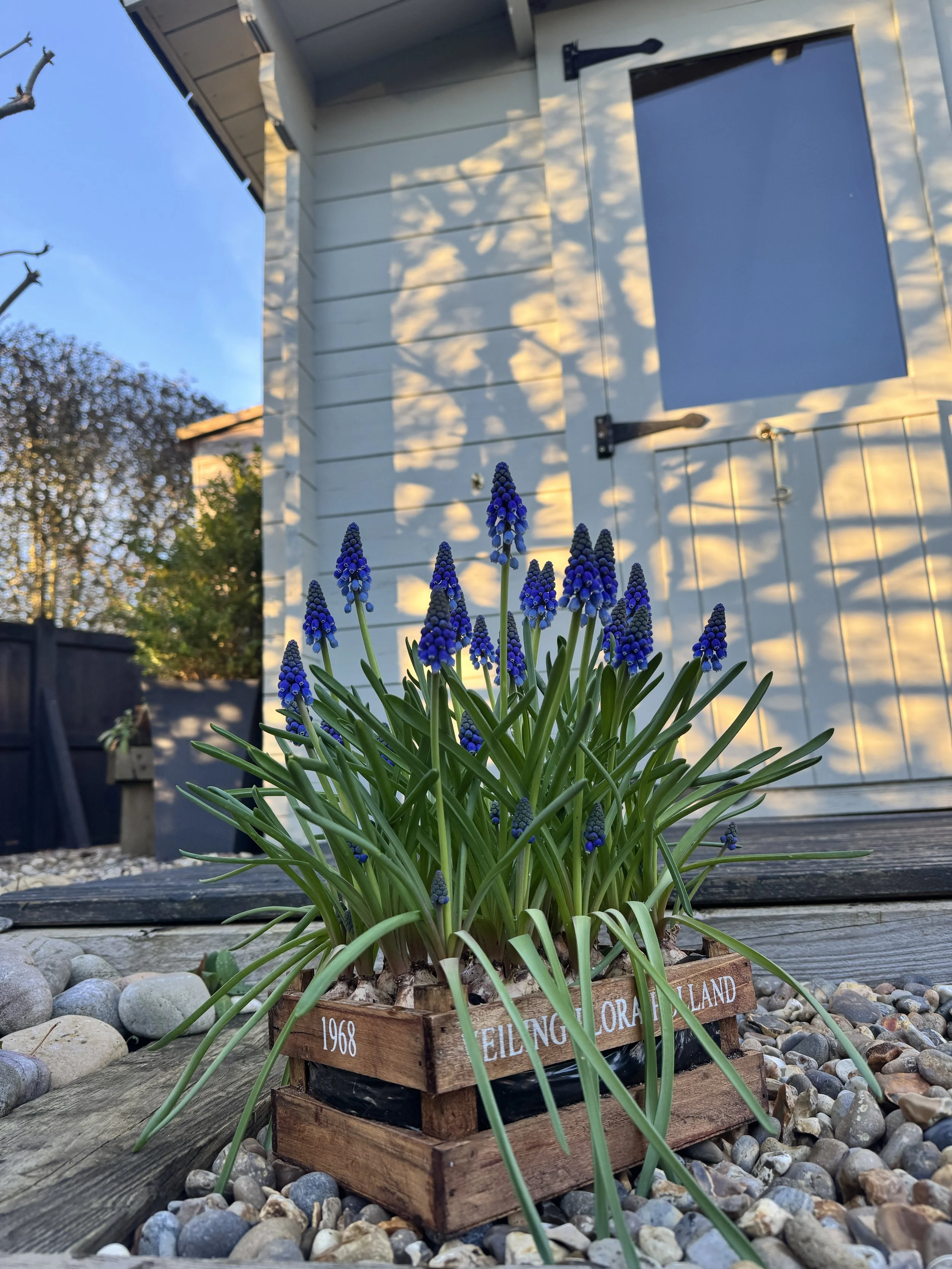 Creative Space 1/2 day : an exploration of your creativity