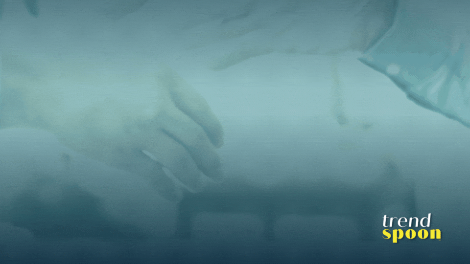 MORE — Trend Spoon New Food Trends in 2023 🥄