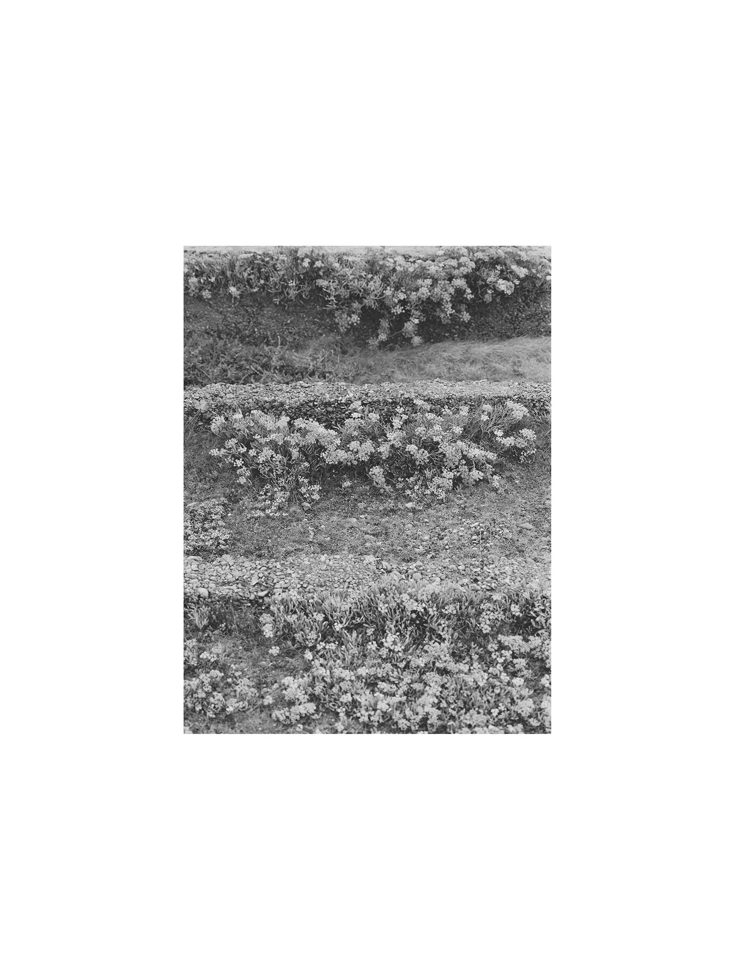 BW-3.jpg