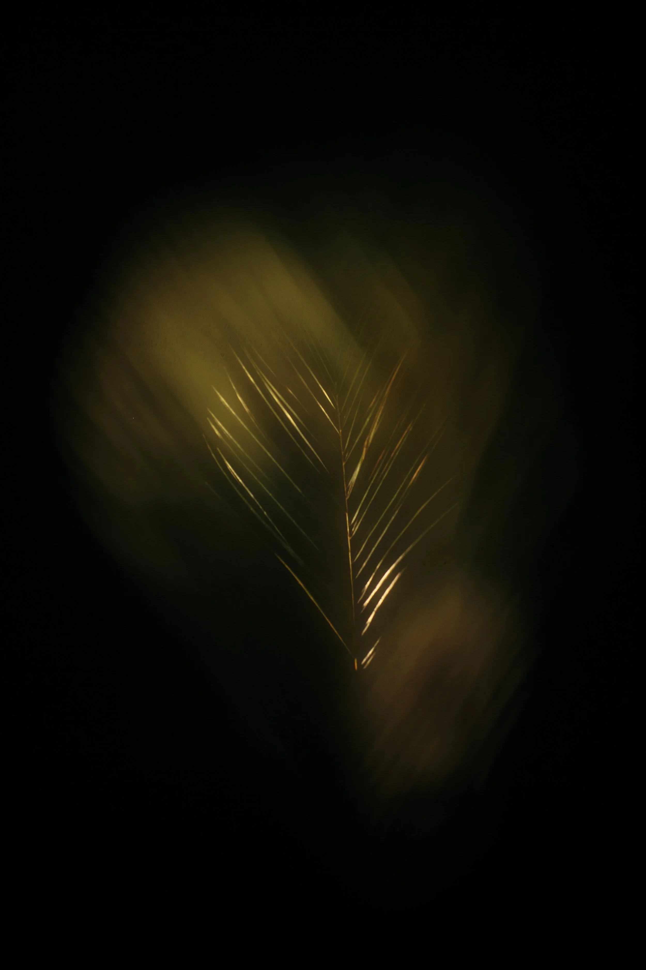 Ghosts-Sara-Hibbert-012.jpg