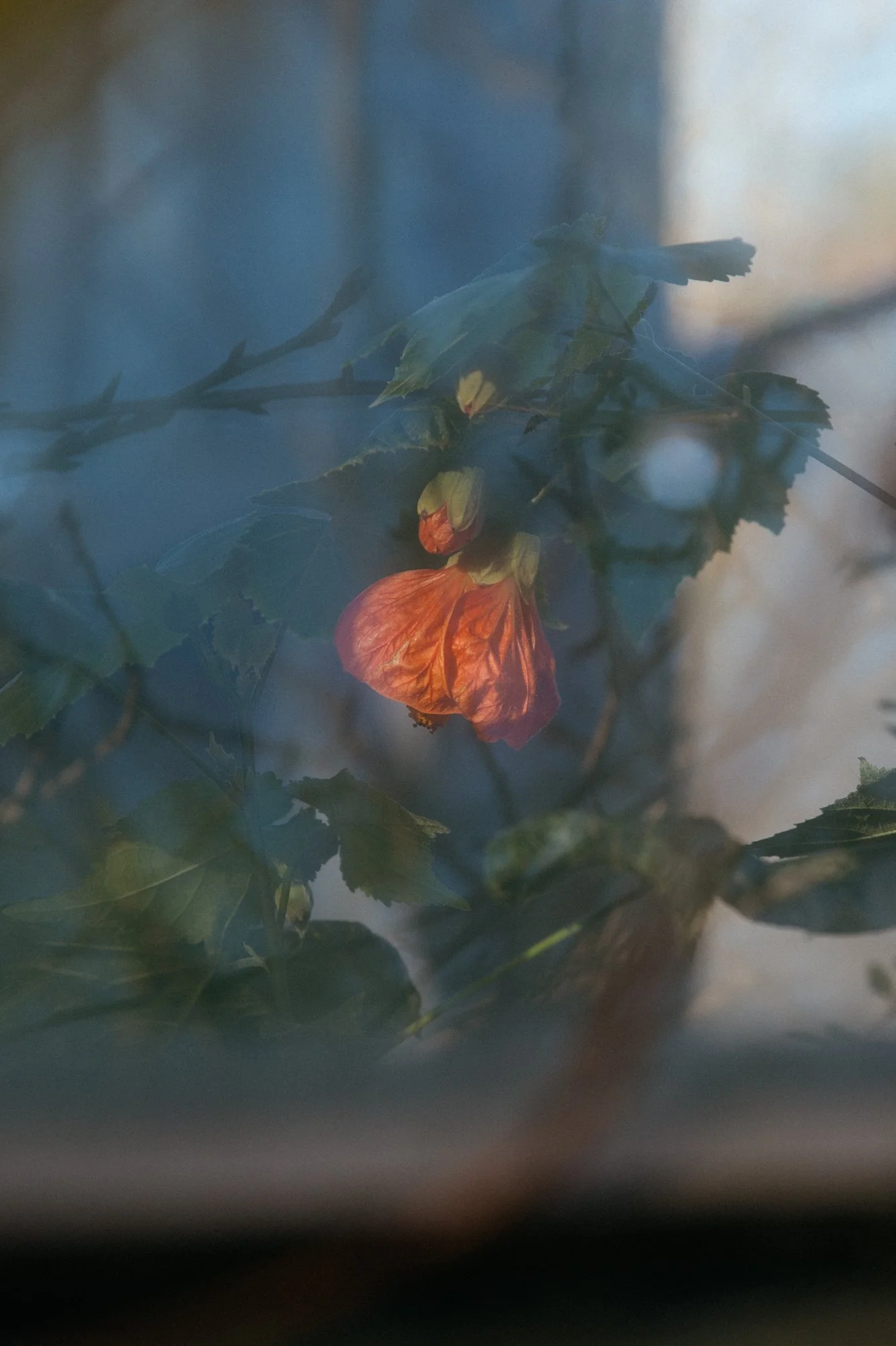 One-Garden--2.jpg