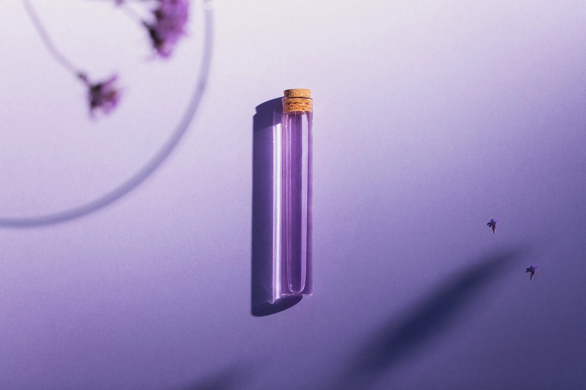 CA-LAVENDER-2x3-002 copy.jpg