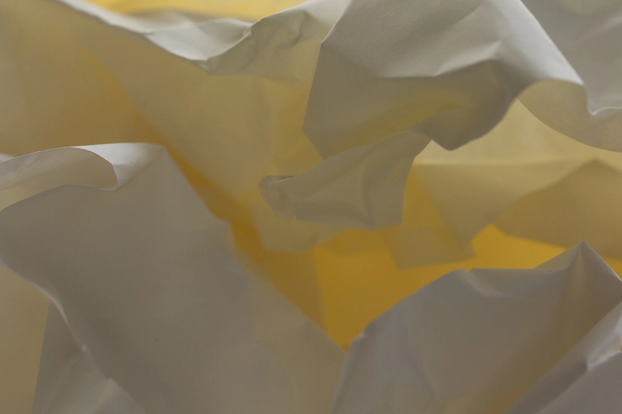 CA-WHITE-2x3-014 copy.jpg