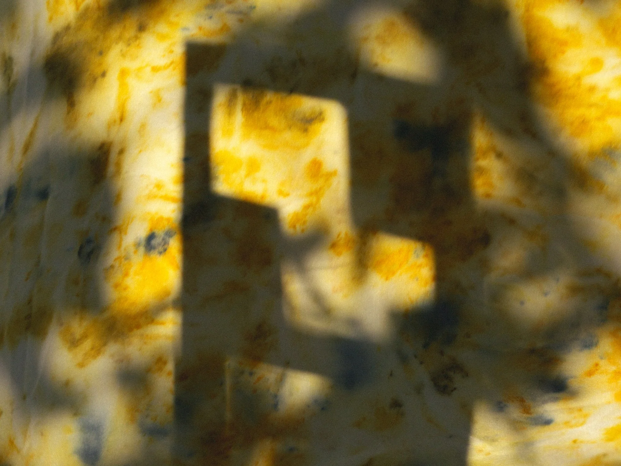 Colour-Lab-Sara-Hibbert-013.jpg