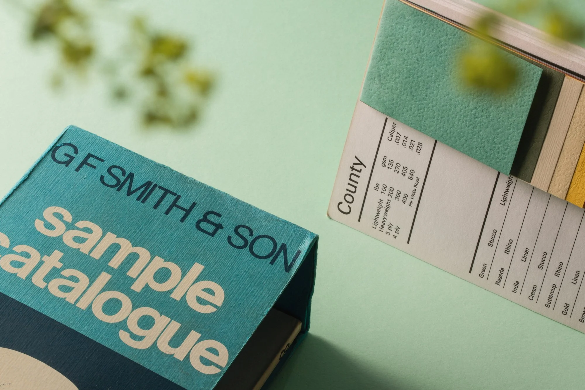 CA-GREEN-2x3-007 copy.jpg