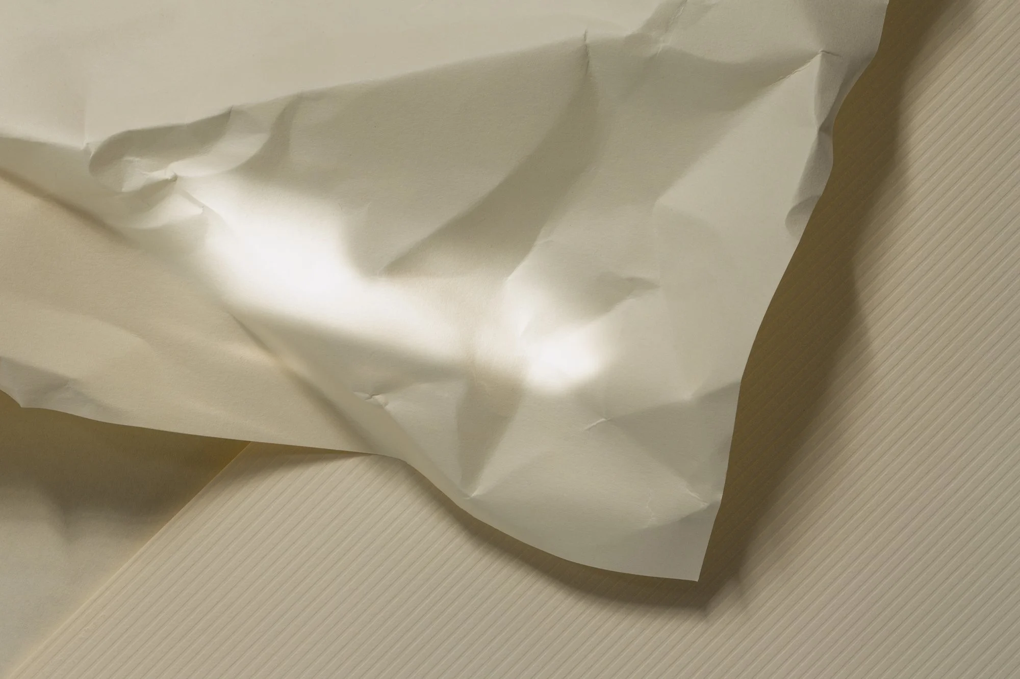 CA-WHITE-2x3-001 copy.jpg