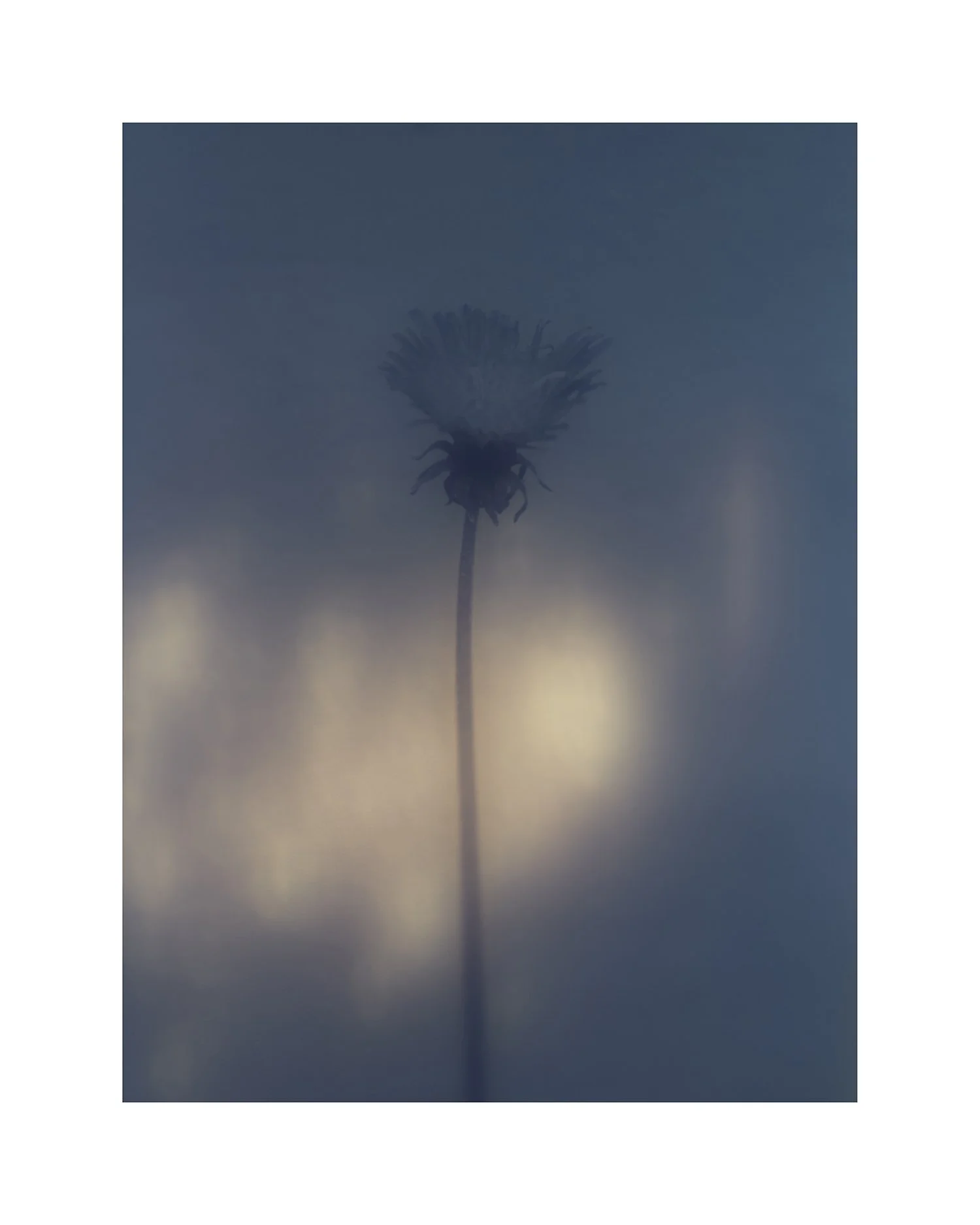 SH01.jpg