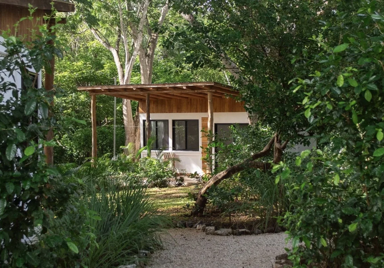 Image 2025-01-31 à 15.12.jpeg