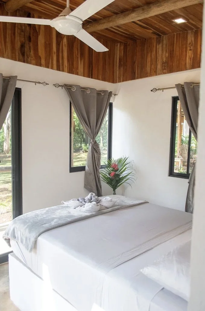 Image 2025-01-31 à 15.14 (1).jpeg