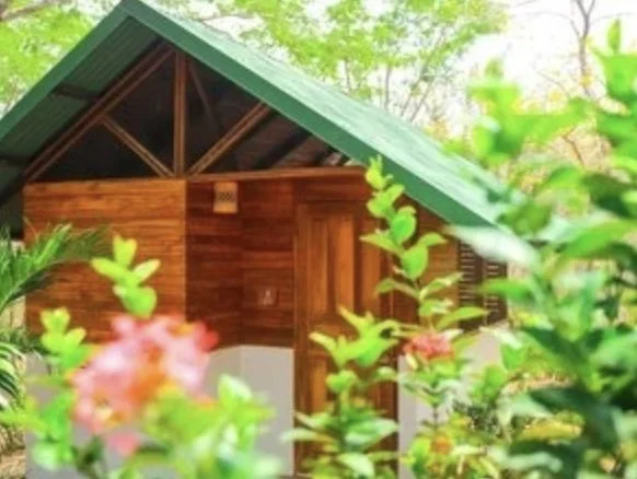 Image 2025-01-31 à 15.04 (1).jpeg