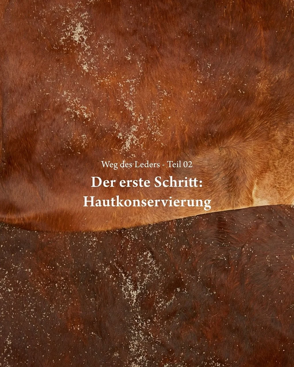 #wegdesleders Part 2 - Skin preservation: The first step

As soon as a hide is removed from an animal, it begins to decompose - that's nature. In order for it to become leather, it must be preserved.

For centuries, people have been using s